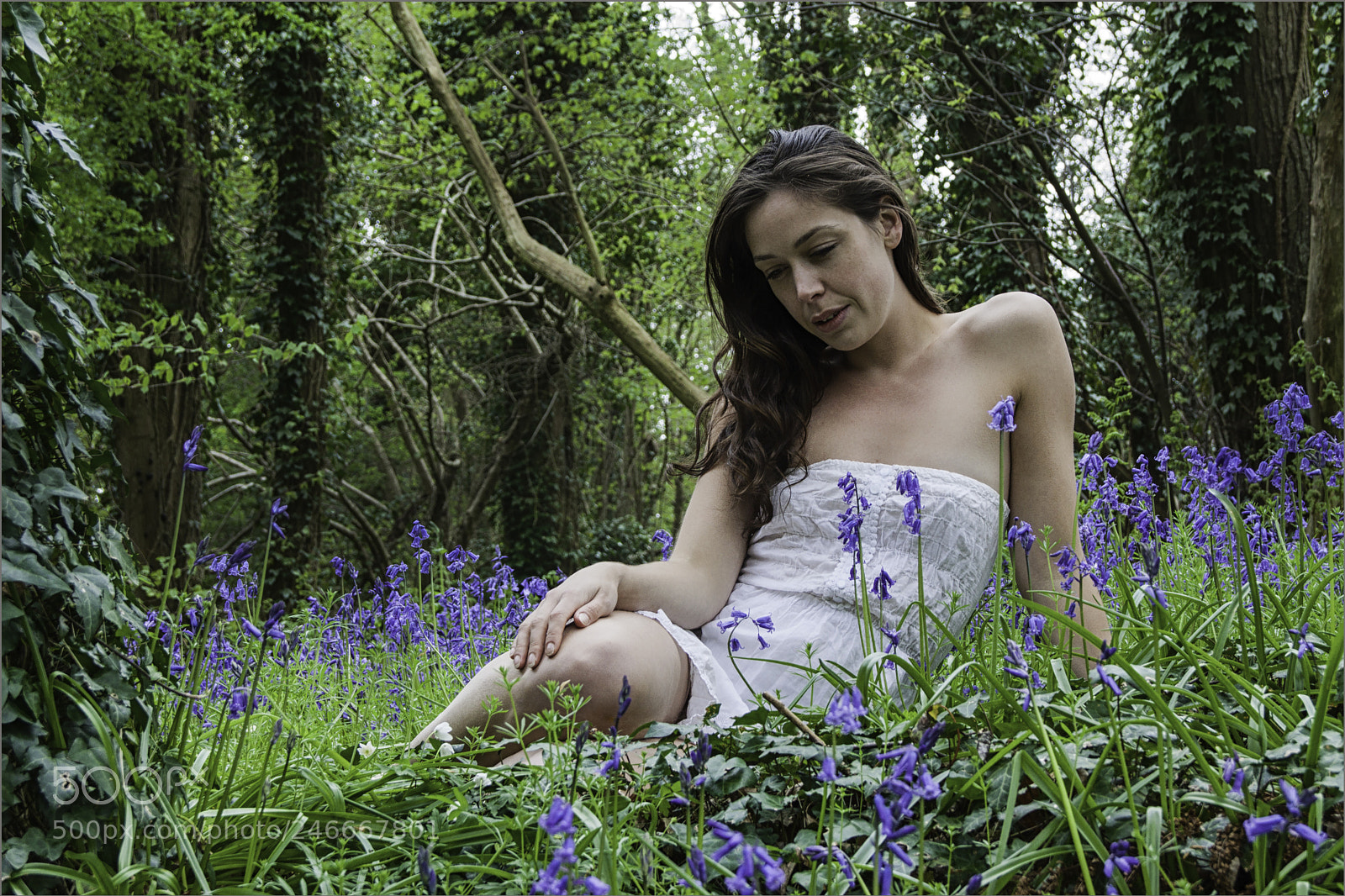 Canon EOS 50D sample photo. Alone in the bluebell photography