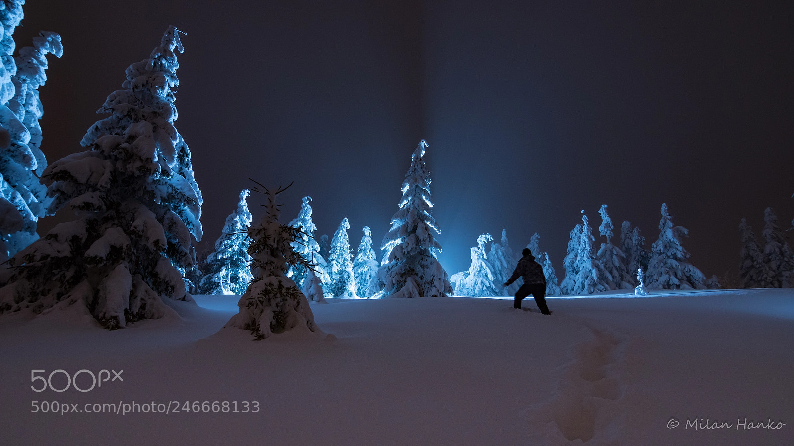 Nikon D7200 sample photo. Aliens ? :) photography
