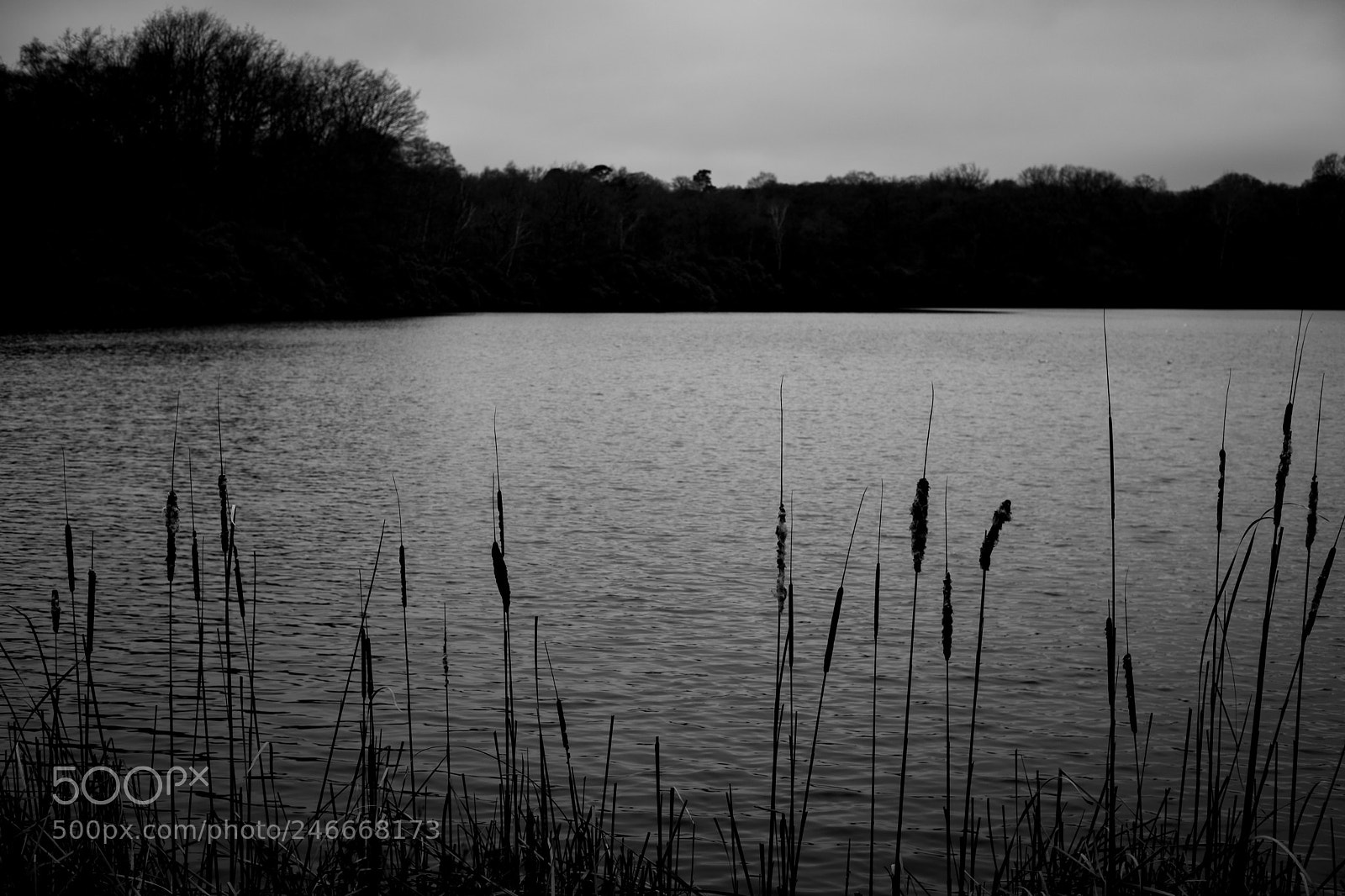 Fujifilm X-Pro2 sample photo. Lake photography