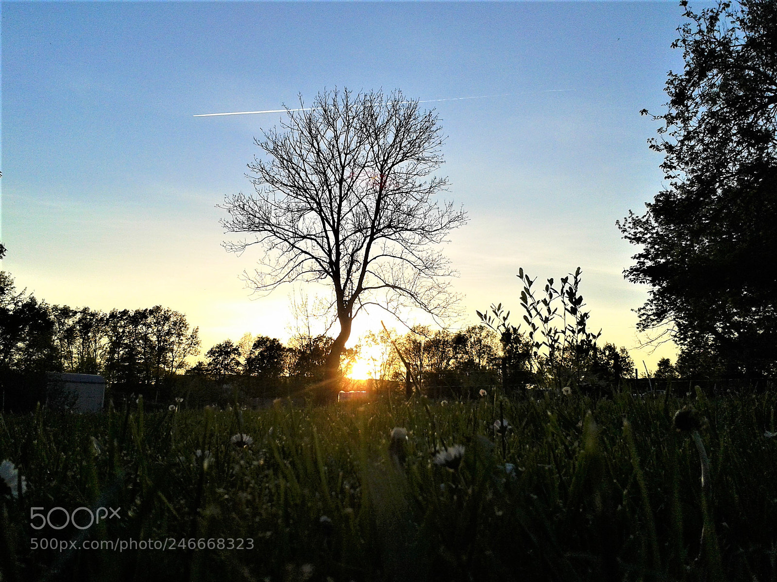 Samsung Galaxy S3 Mini sample photo. ??? photography