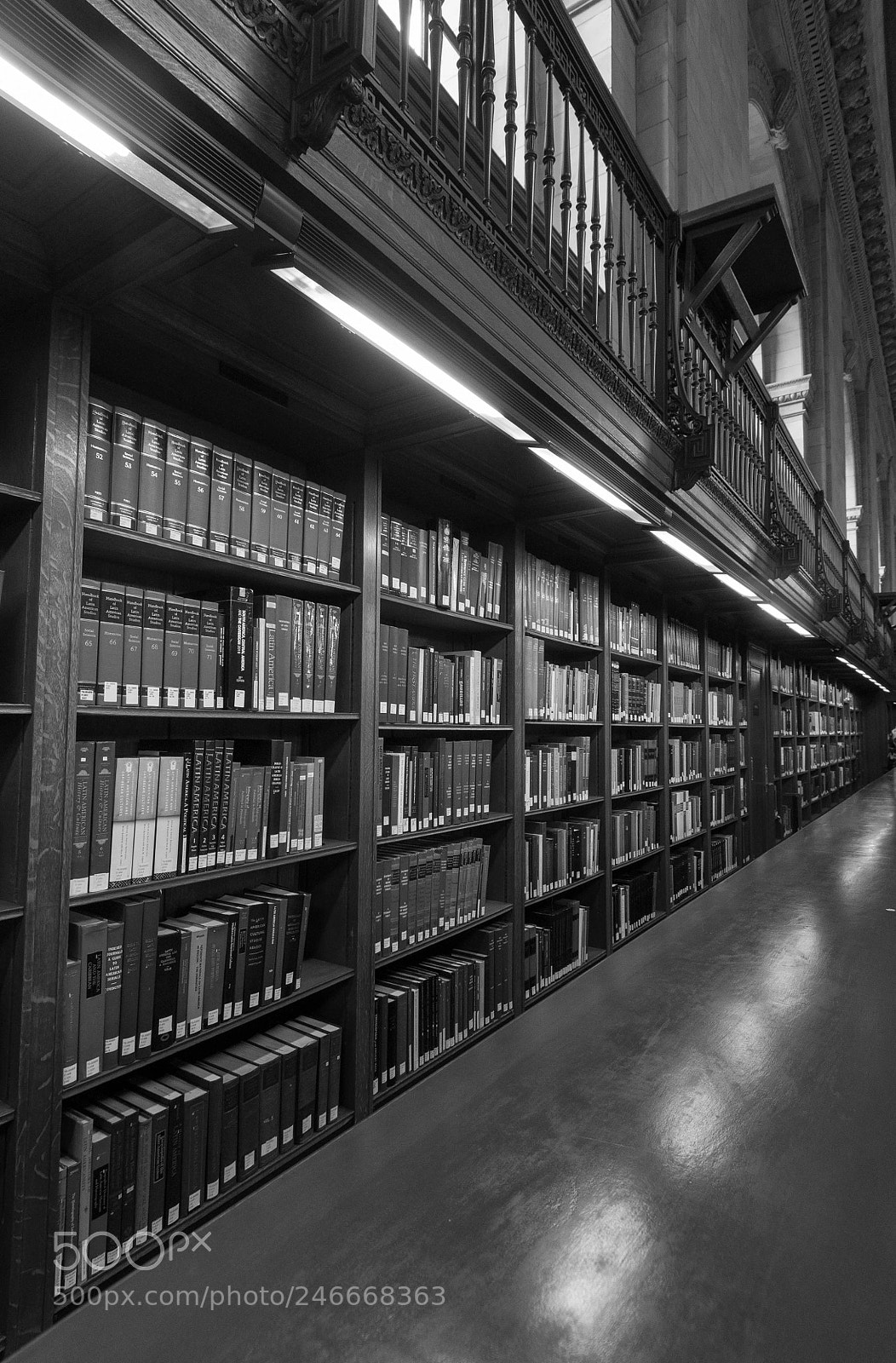 Nikon D90 sample photo. Public library book rows photography