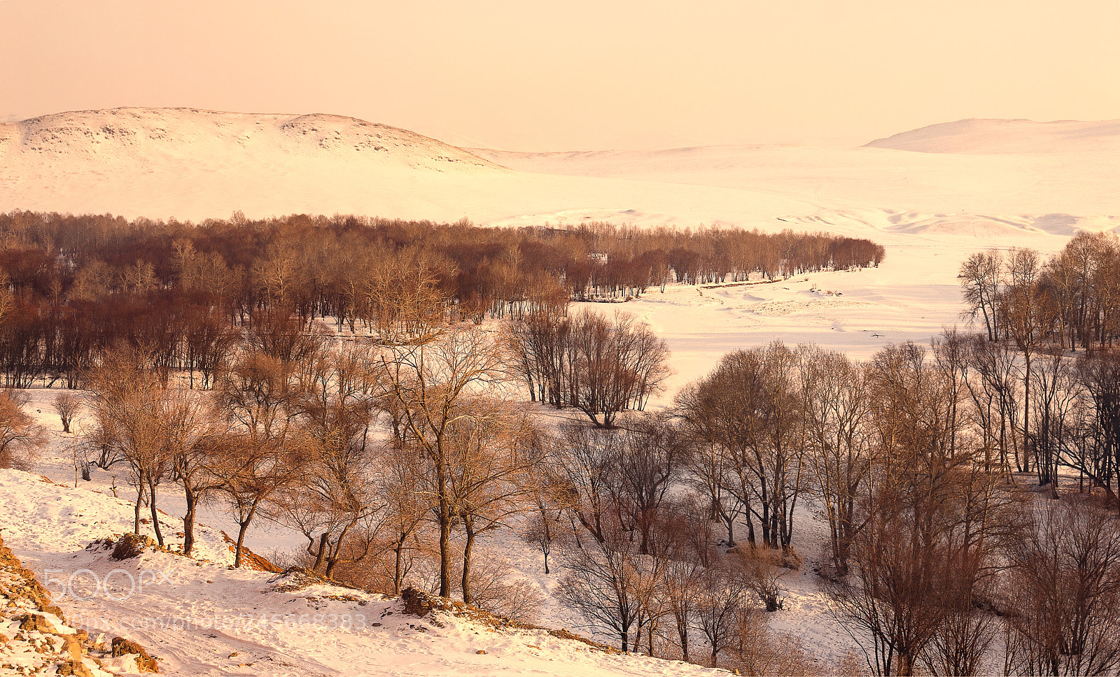 Canon EOS 700D (EOS Rebel T5i / EOS Kiss X7i) sample photo. Winter light photography
