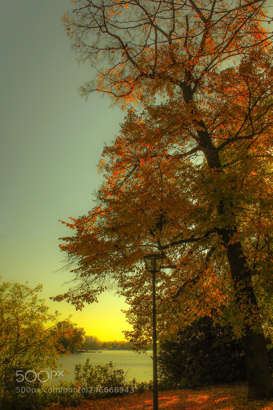 Canon EOS 1200D (EOS Rebel T5 / EOS Kiss X70 / EOS Hi) sample photo. Post in autumn trees photography