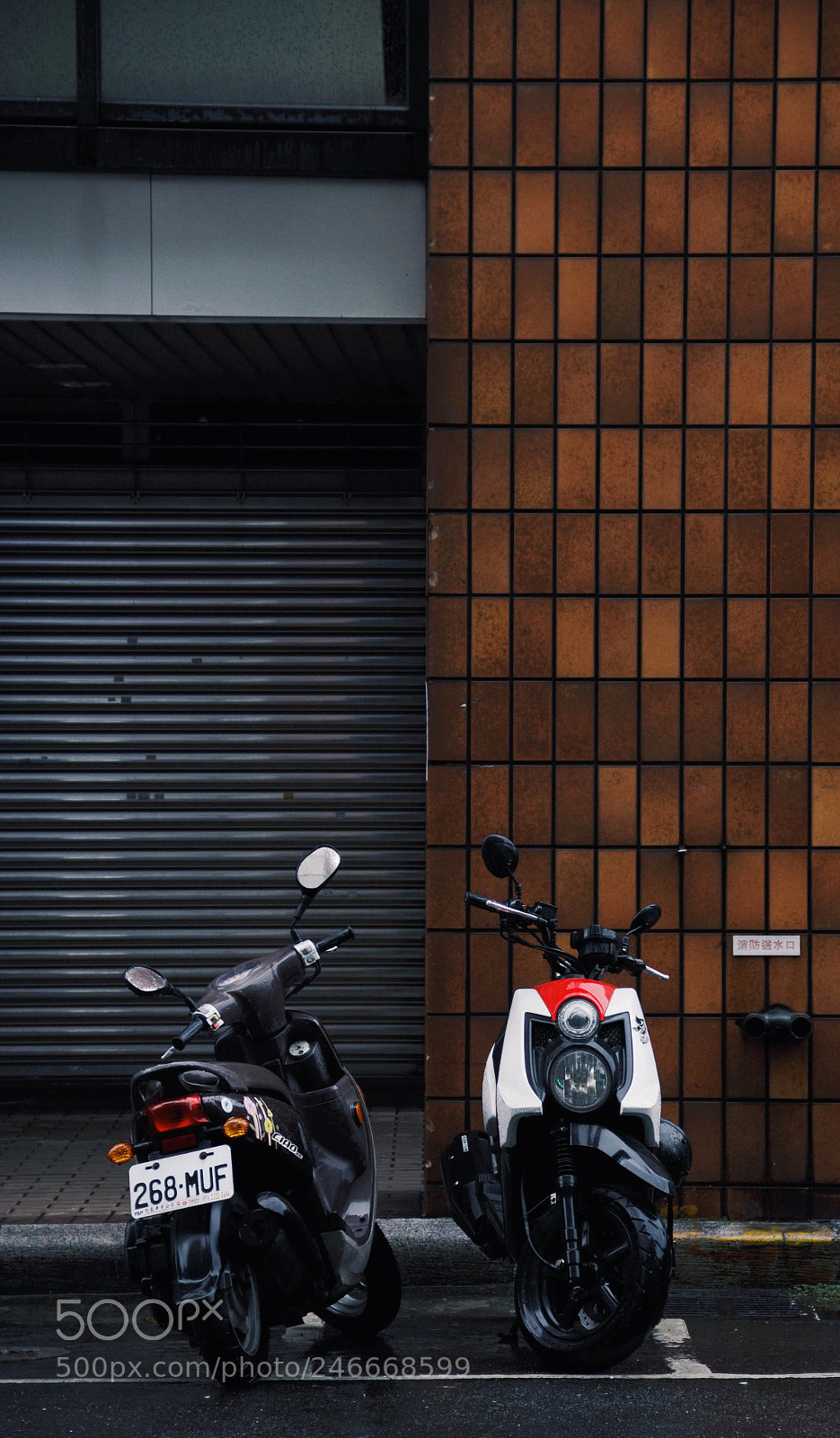 Canon EOS 600D (Rebel EOS T3i / EOS Kiss X5) sample photo. Taipei, taiwan. photography