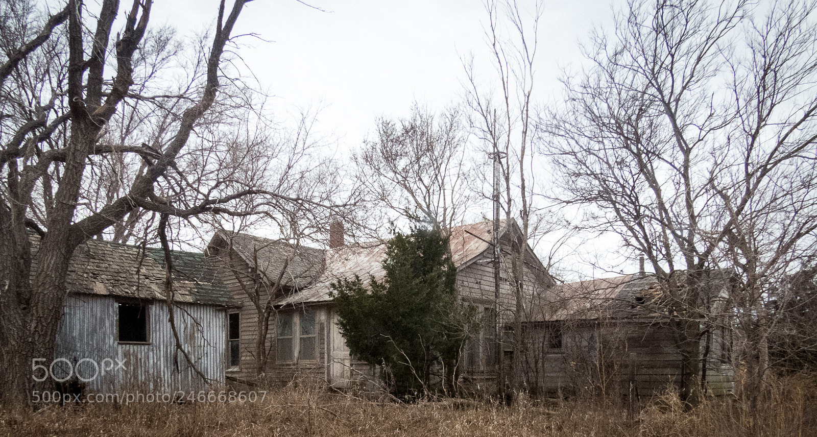 Canon PowerShot SX50 HS sample photo. Old home ? photography