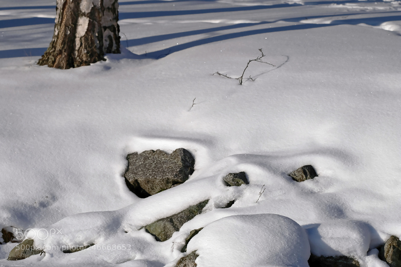 Fujifilm X-T2 sample photo. Snow photography