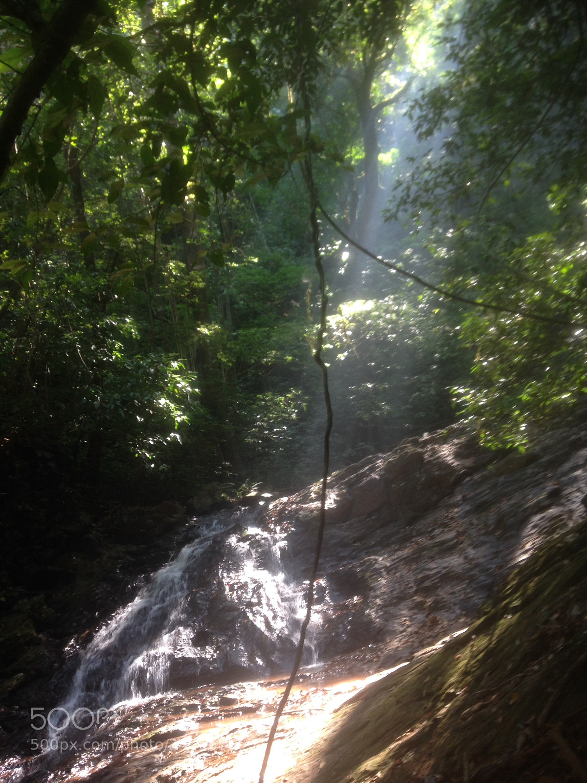 Apple iPhone 5c sample photo. Taken at kodachadri trek photography