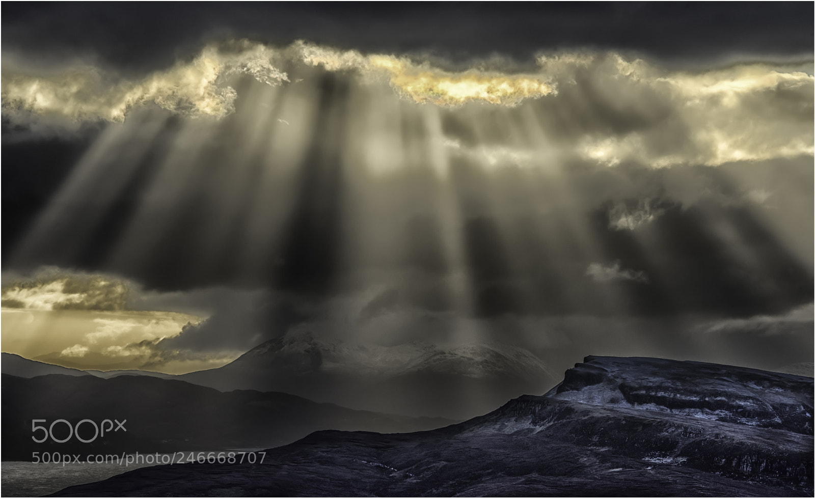 Nikon D810 sample photo. Sun rays over the photography