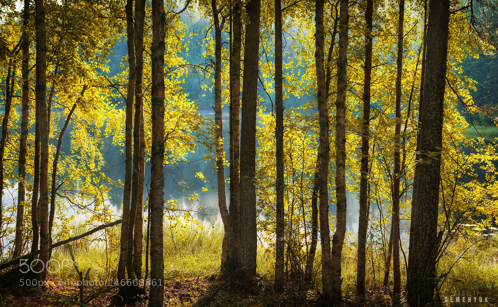 Sony ILCA-77M2 sample photo. Morning in karelia. photography