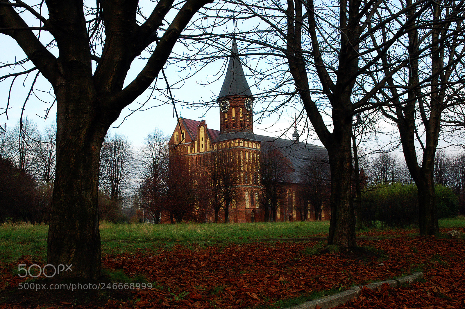 Nikon D70 sample photo. The cathedral in kaliningrad photography