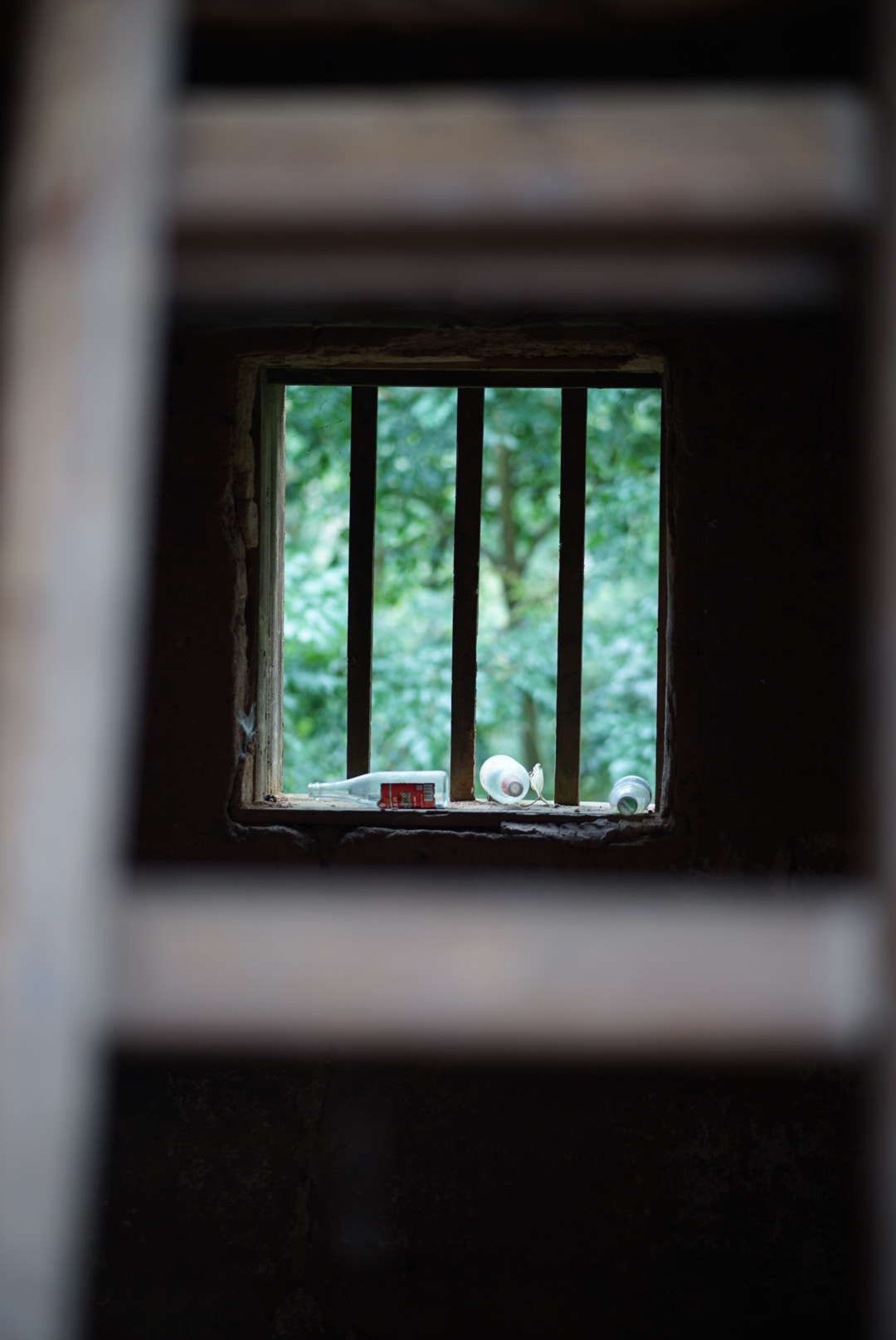 ZEISS Batis 85mm F1.8 sample photo