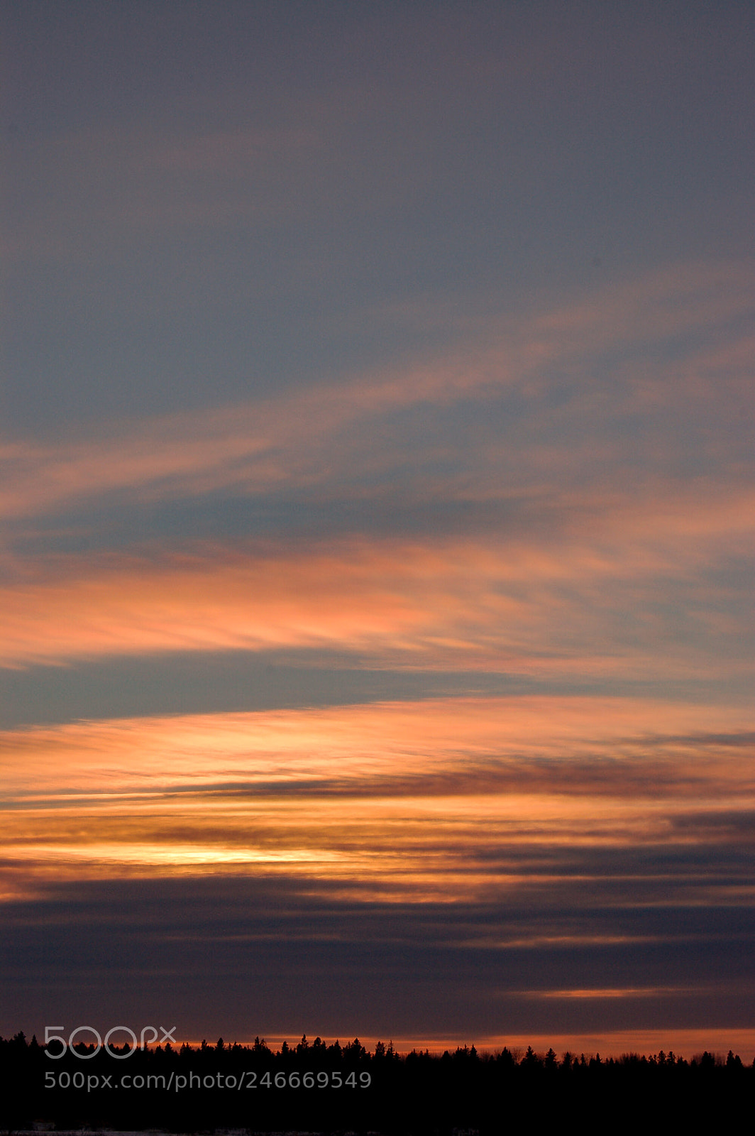 Nikon D50 sample photo. Endless sky photography