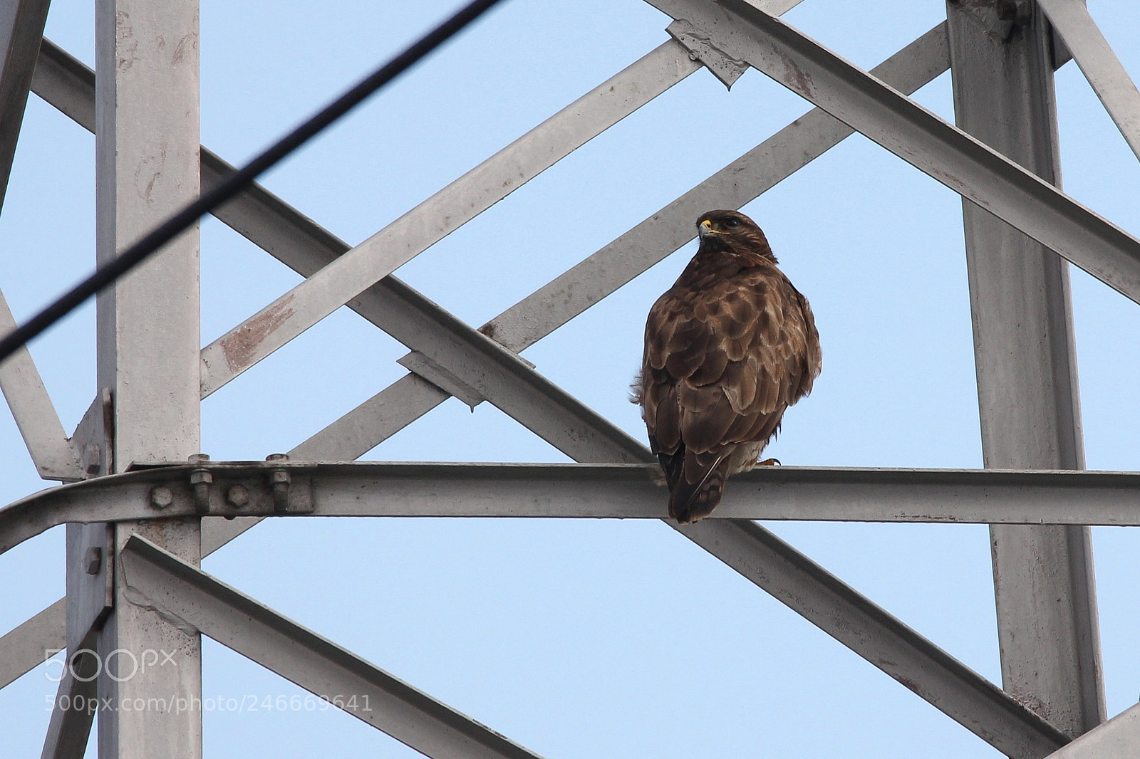 Canon EOS 550D (EOS Rebel T2i / EOS Kiss X4) sample photo. At the edge of photography