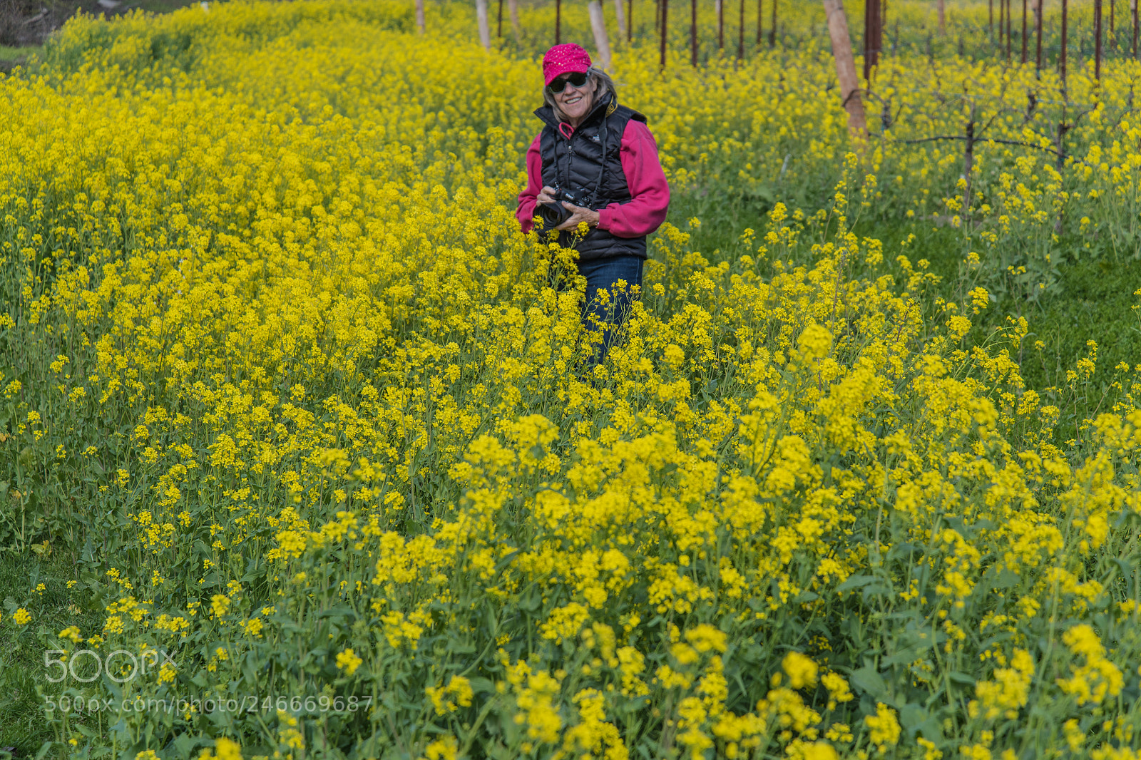 Nikon D850 sample photo. Jeanine in the mustard photography