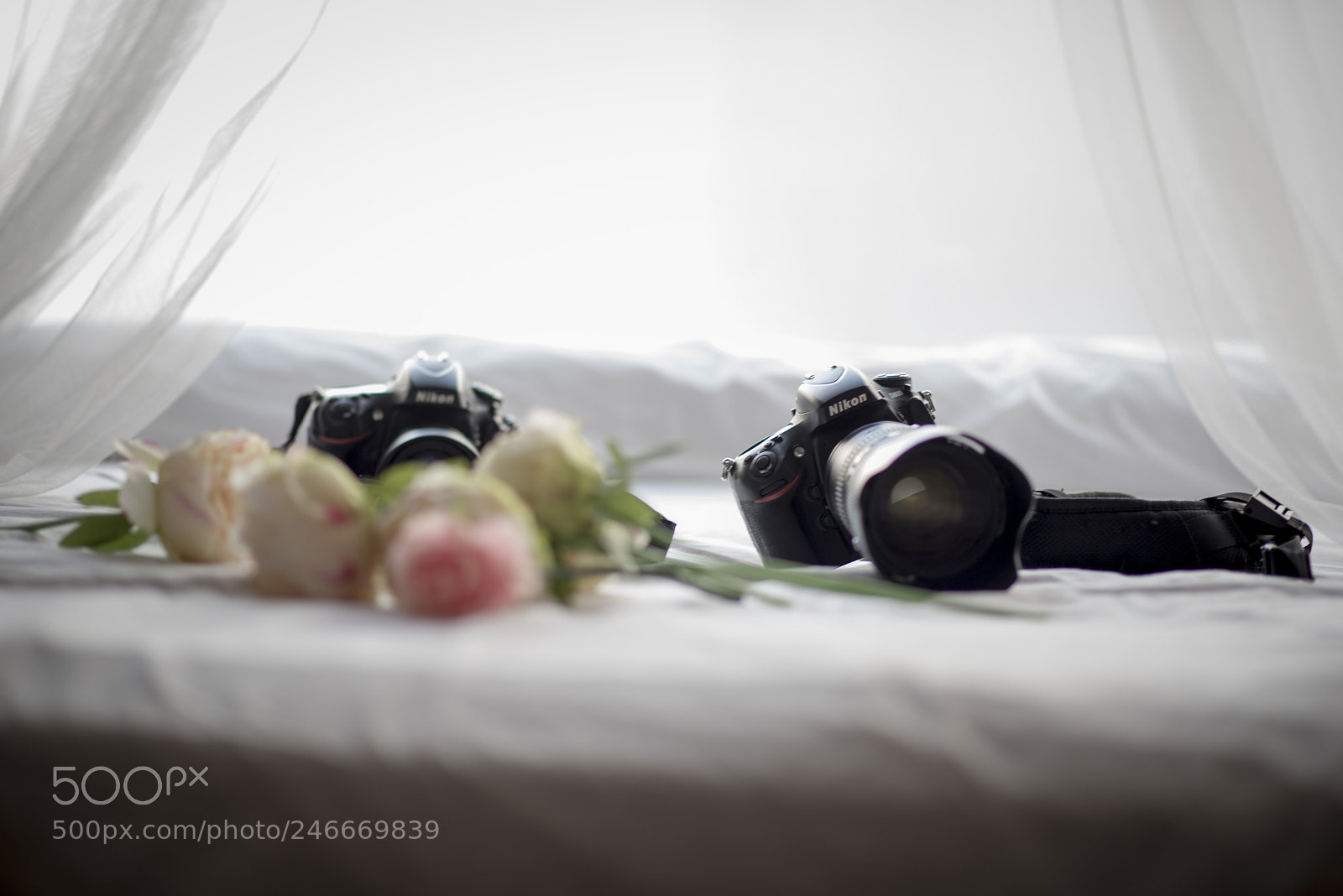 Nikon D800 sample photo. Untitled photography