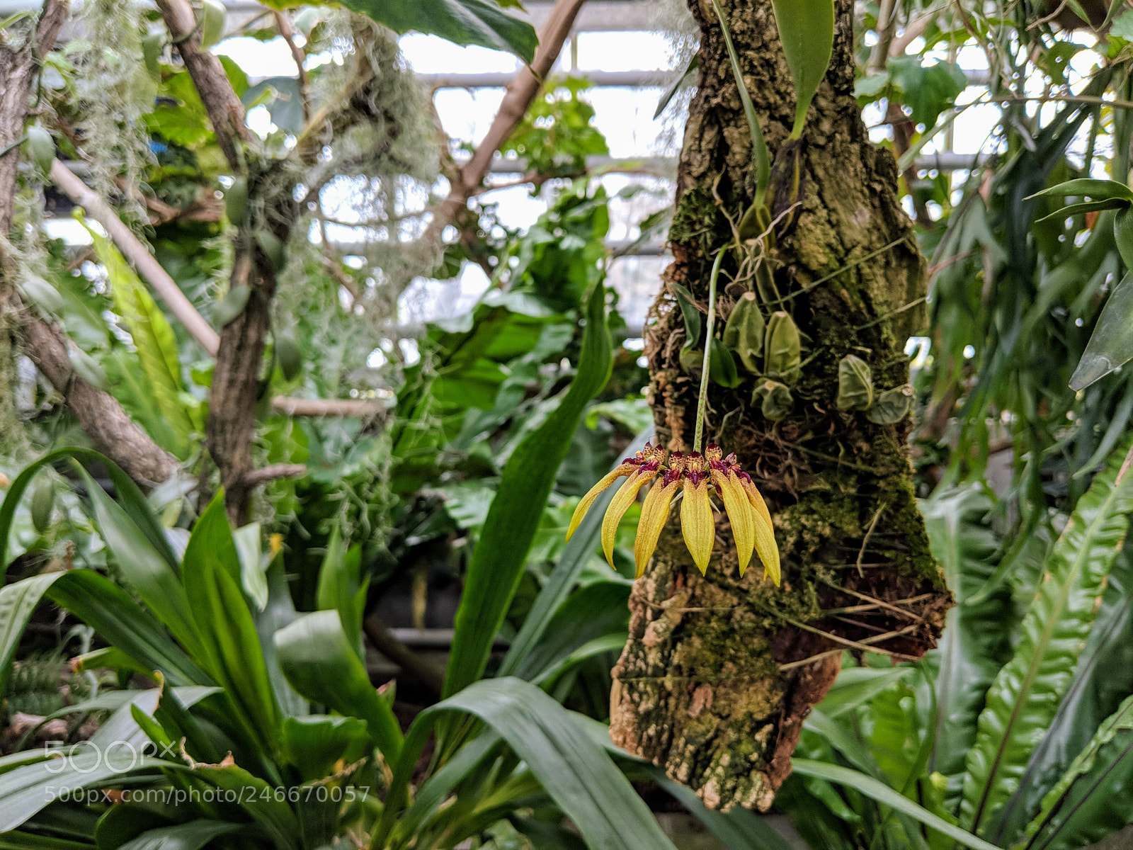 Google Pixel 2 XL sample photo. Untitled photography
