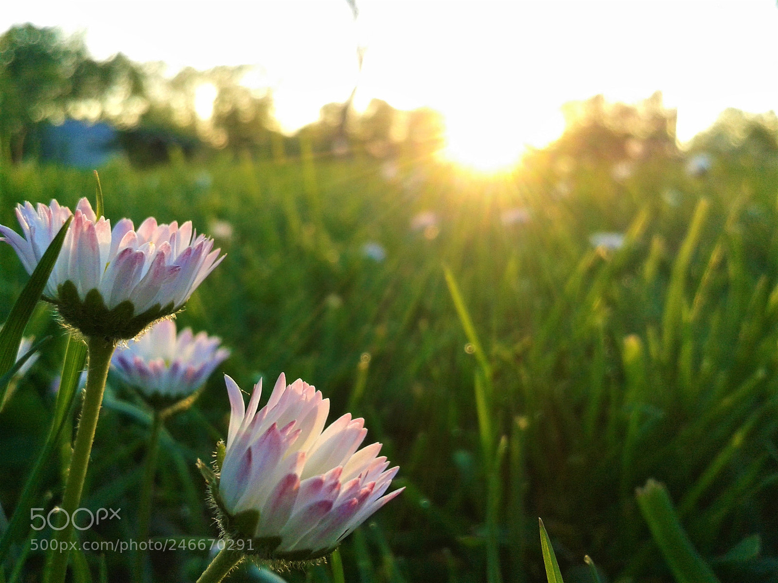 Samsung Galaxy S3 Mini sample photo. ?? photography