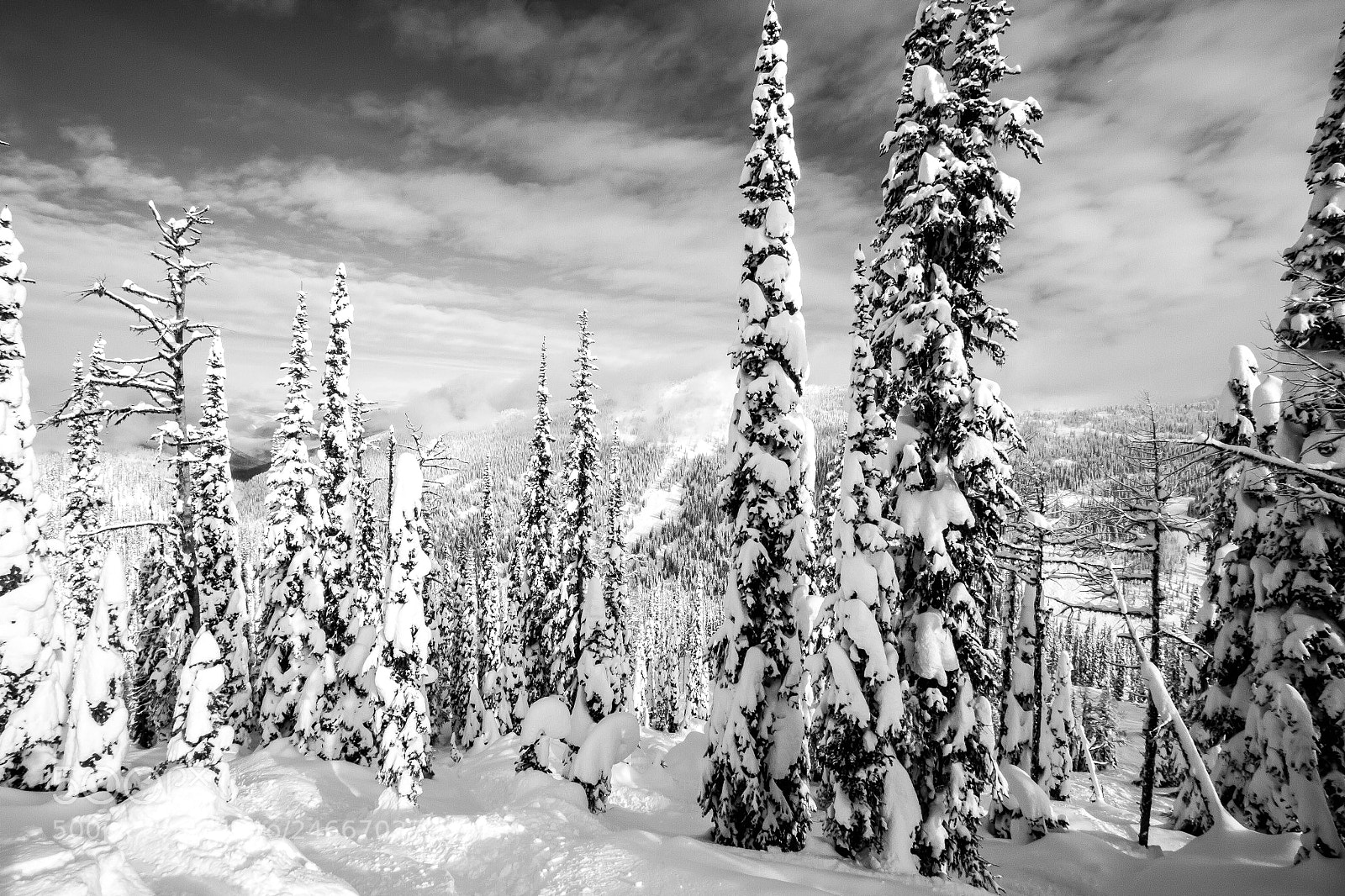 Canon EOS 7D sample photo. Dancing with snow ghosts photography