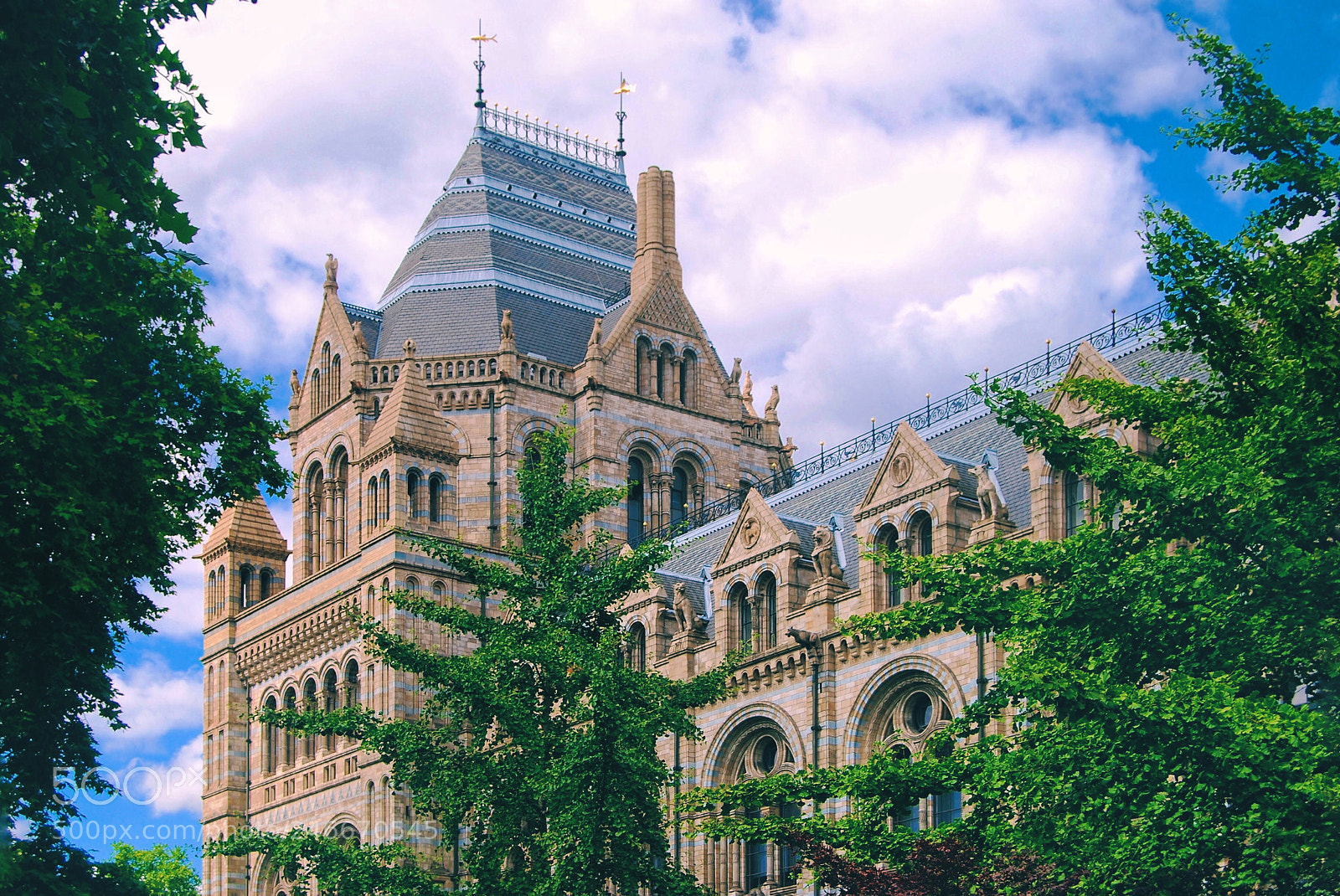 Nikon D40X sample photo. The natural history museum photography
