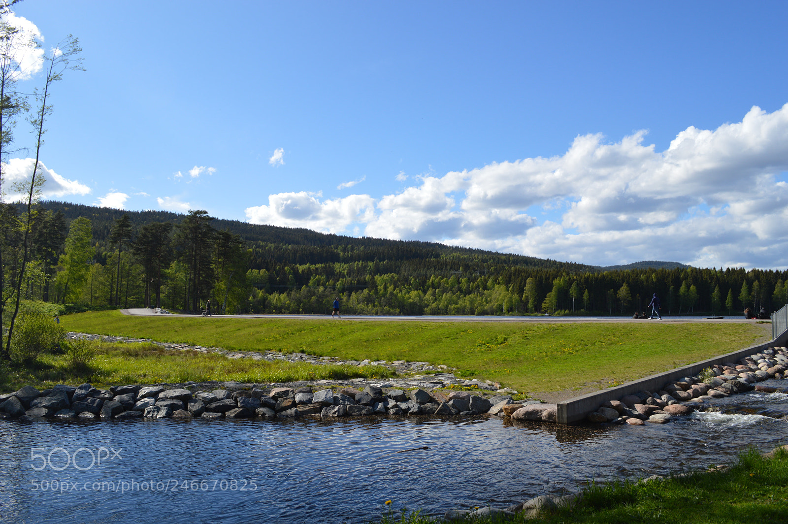 Nikon D3200 sample photo. Songsvann in norway photography