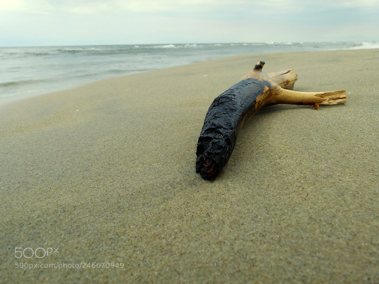 Panasonic Lumix DMC-FZ100 sample photo. Stick on the beach photography