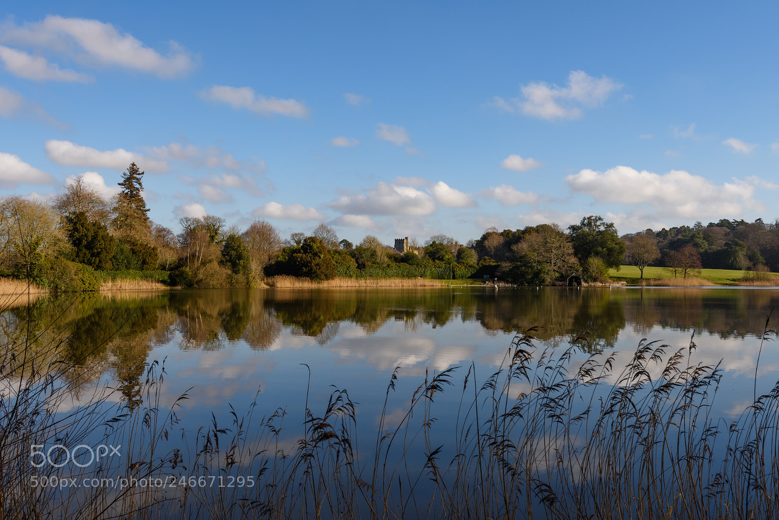 Nikon D810 sample photo. Lake reflections photography