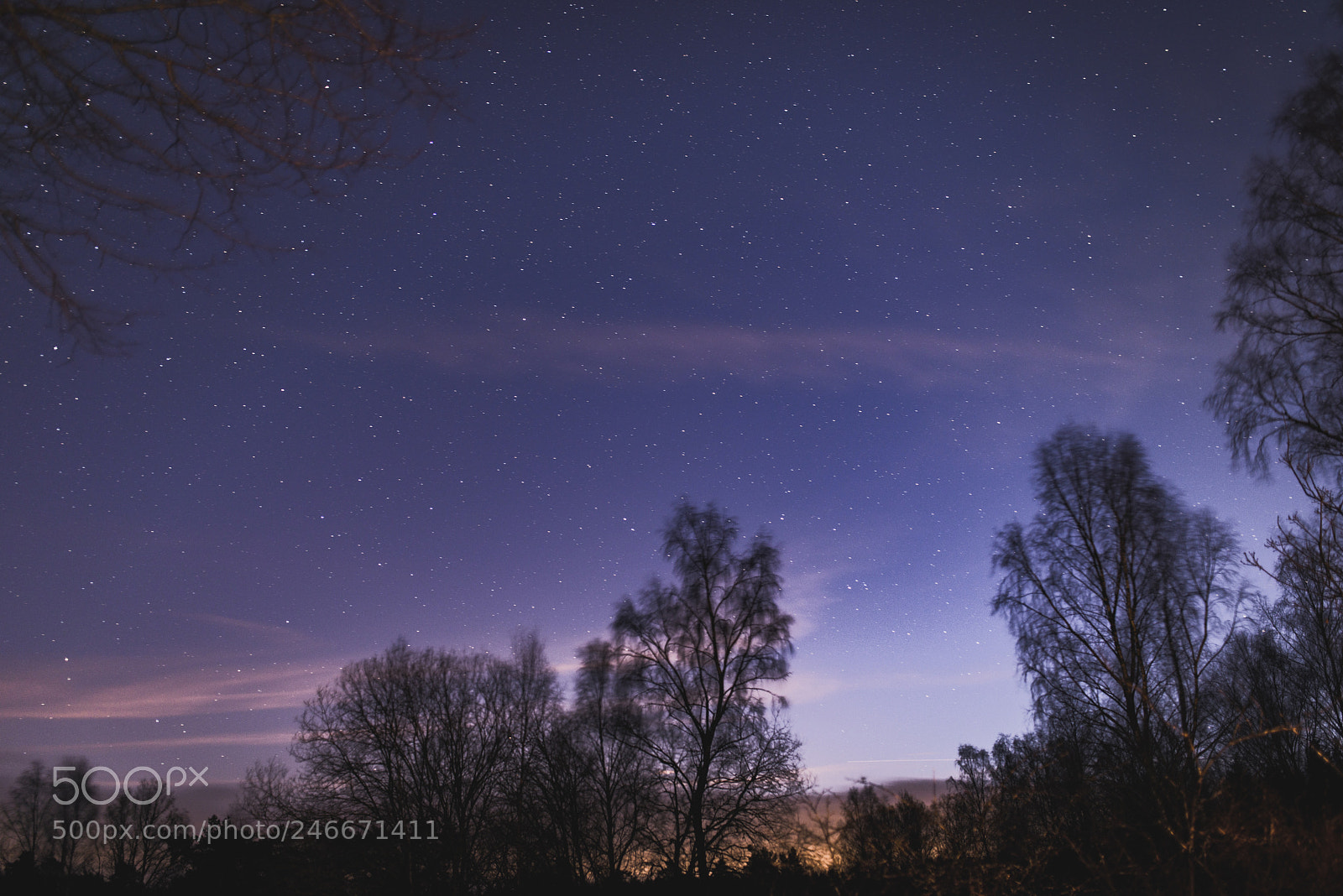 Nikon D800 sample photo. Twilight photography