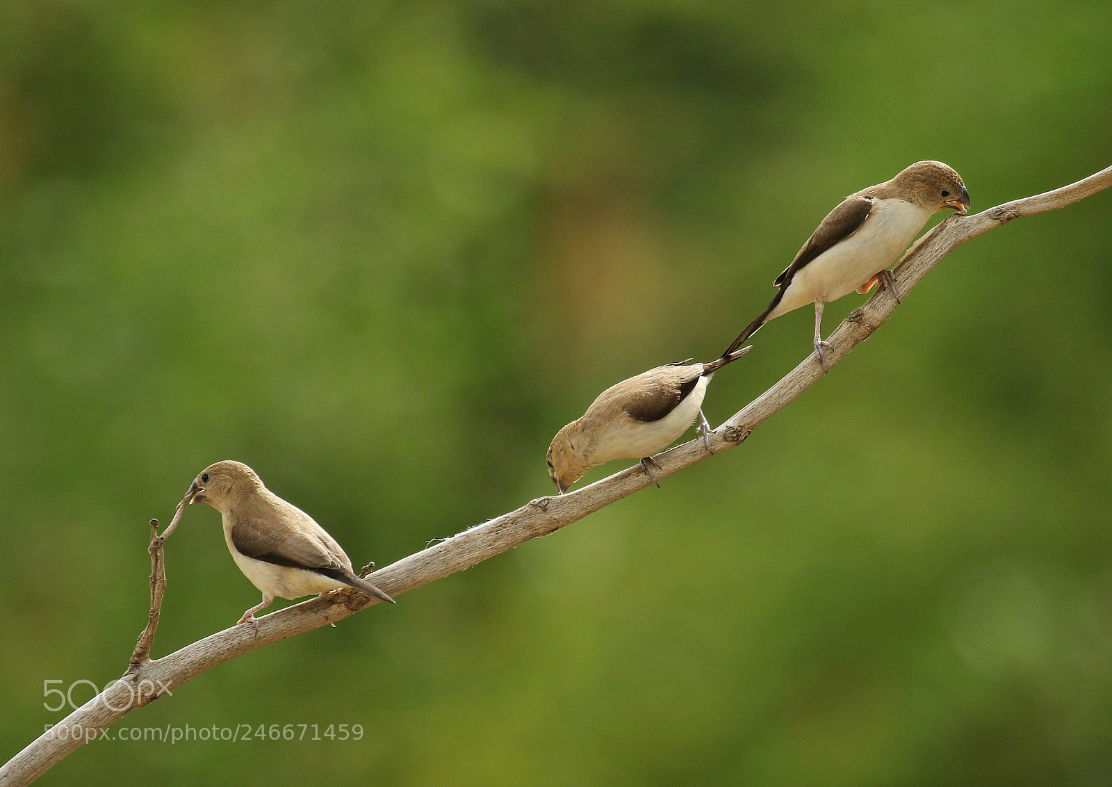 Canon EOS 7D Mark II sample photo. Untitled photography