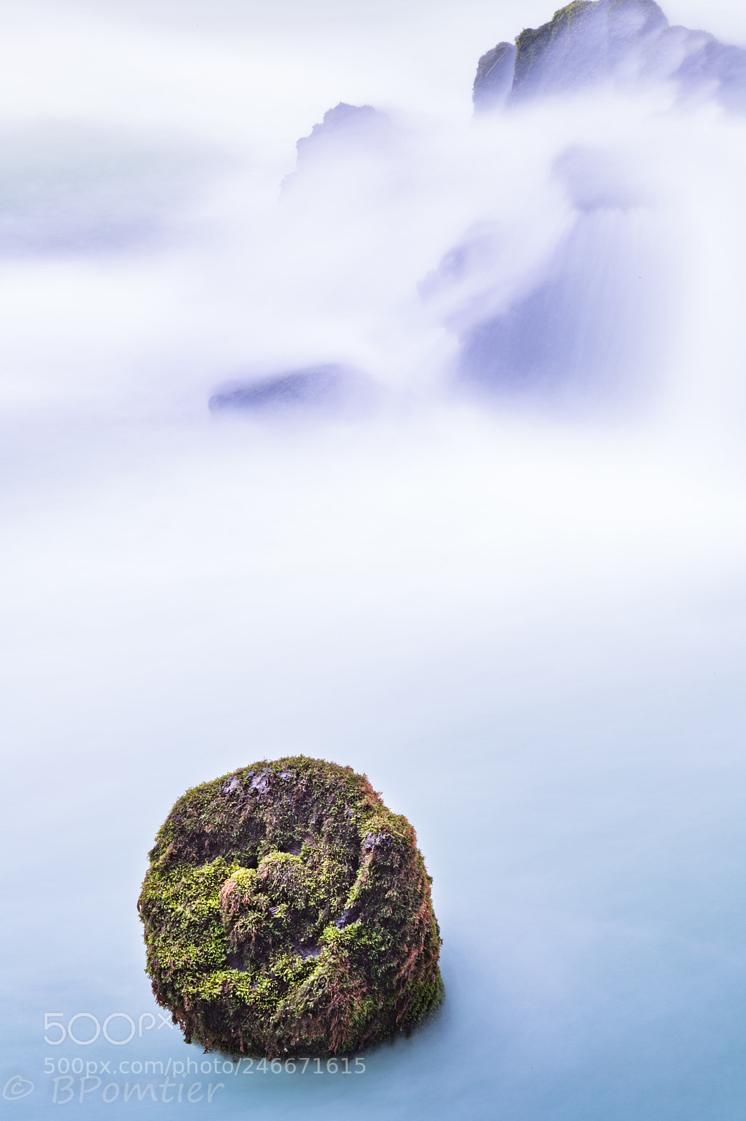 Canon EOS 6D Mark II sample photo. Deschutes river log photography