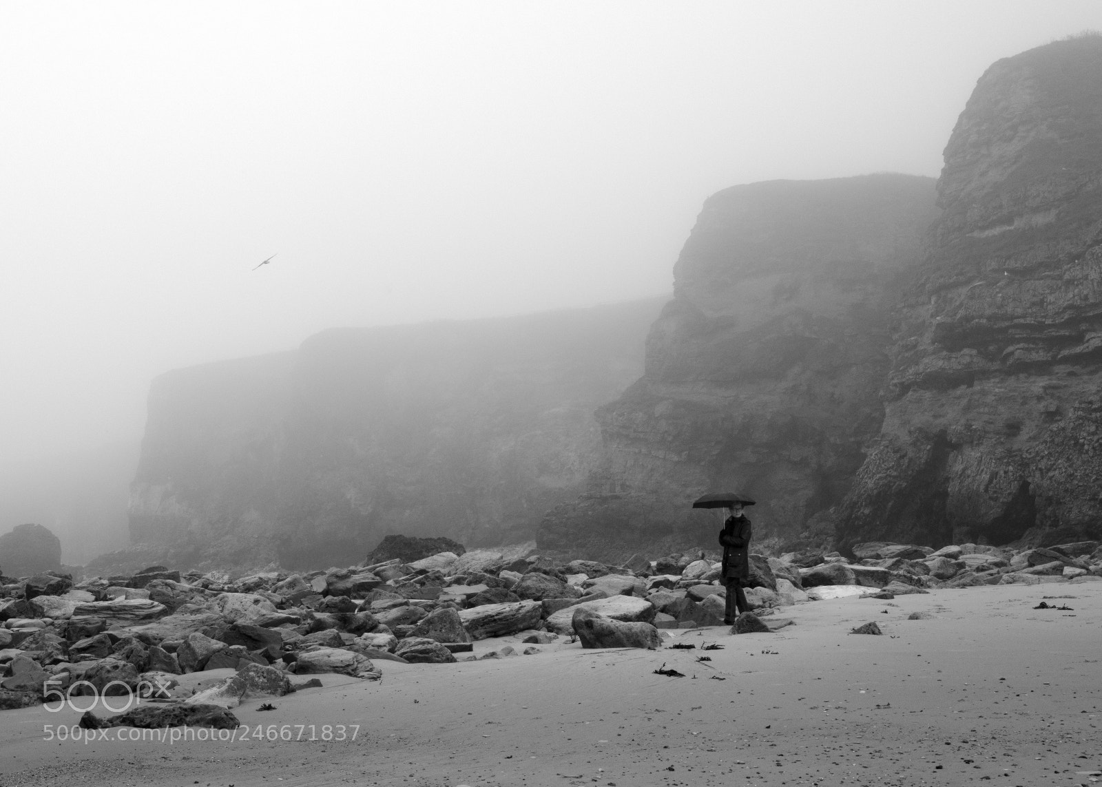 Fujifilm GFX 50S sample photo. Cold misty morning. photography