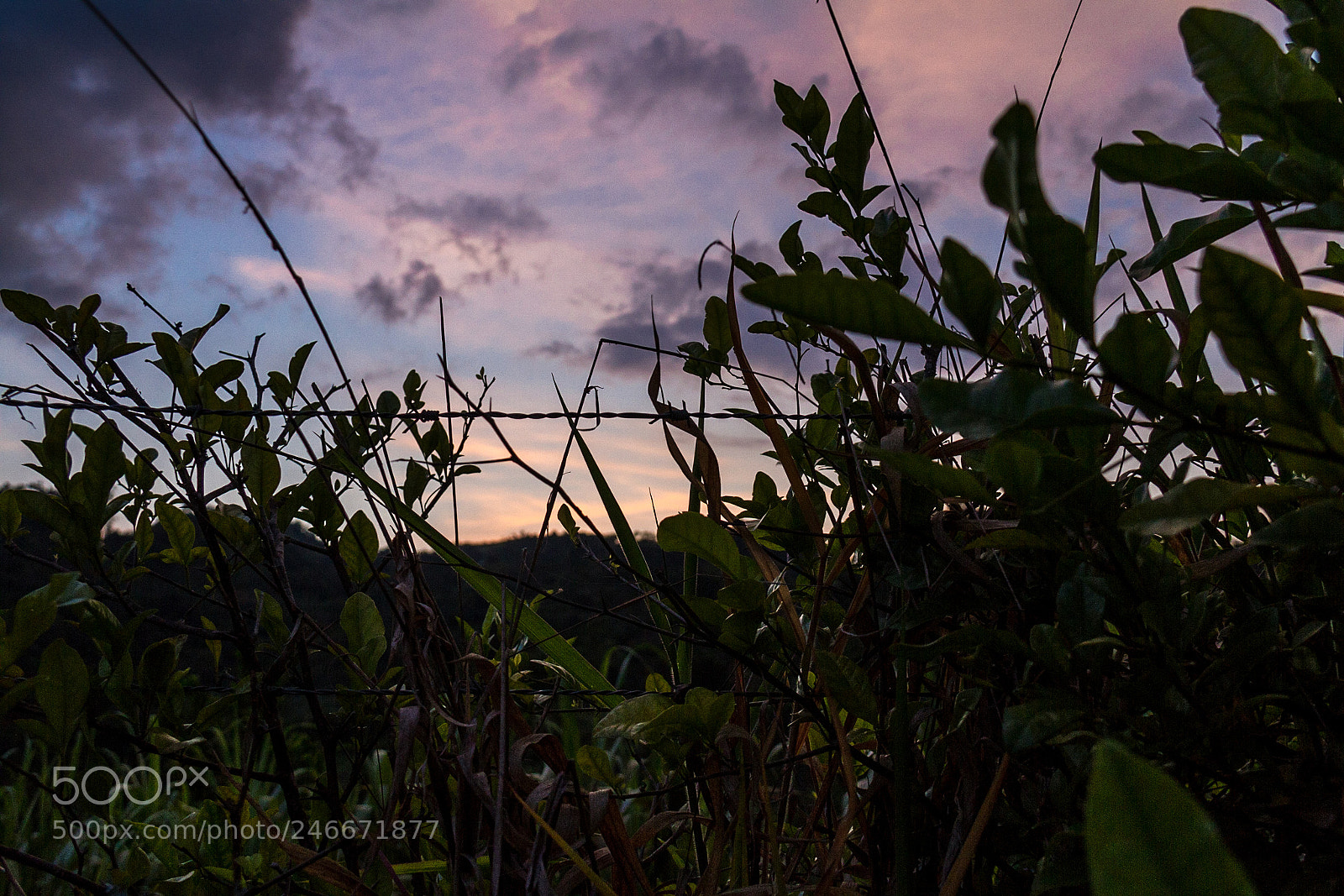 Canon EOS 7D sample photo. Atardecer colombiano photography