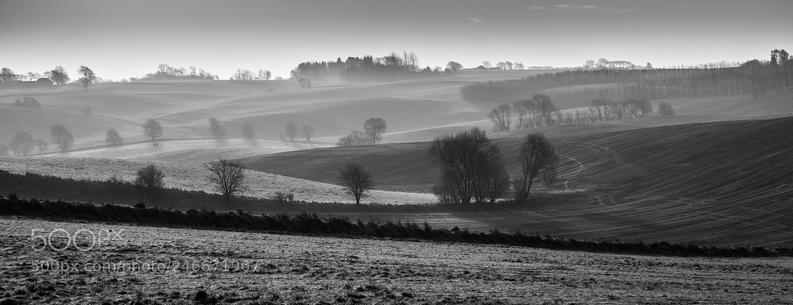 Fujifilm X-T20 sample photo. Mist in the morning photography