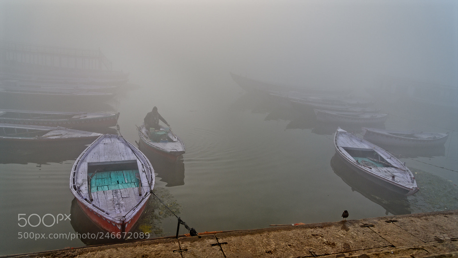 Nikon D850 sample photo. Along the ganges on photography