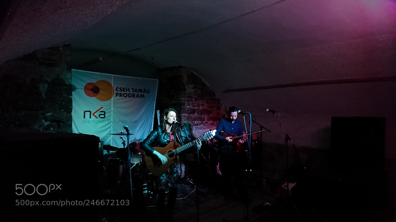 Sony Xperia XZ sample photo. Double concert at s photography