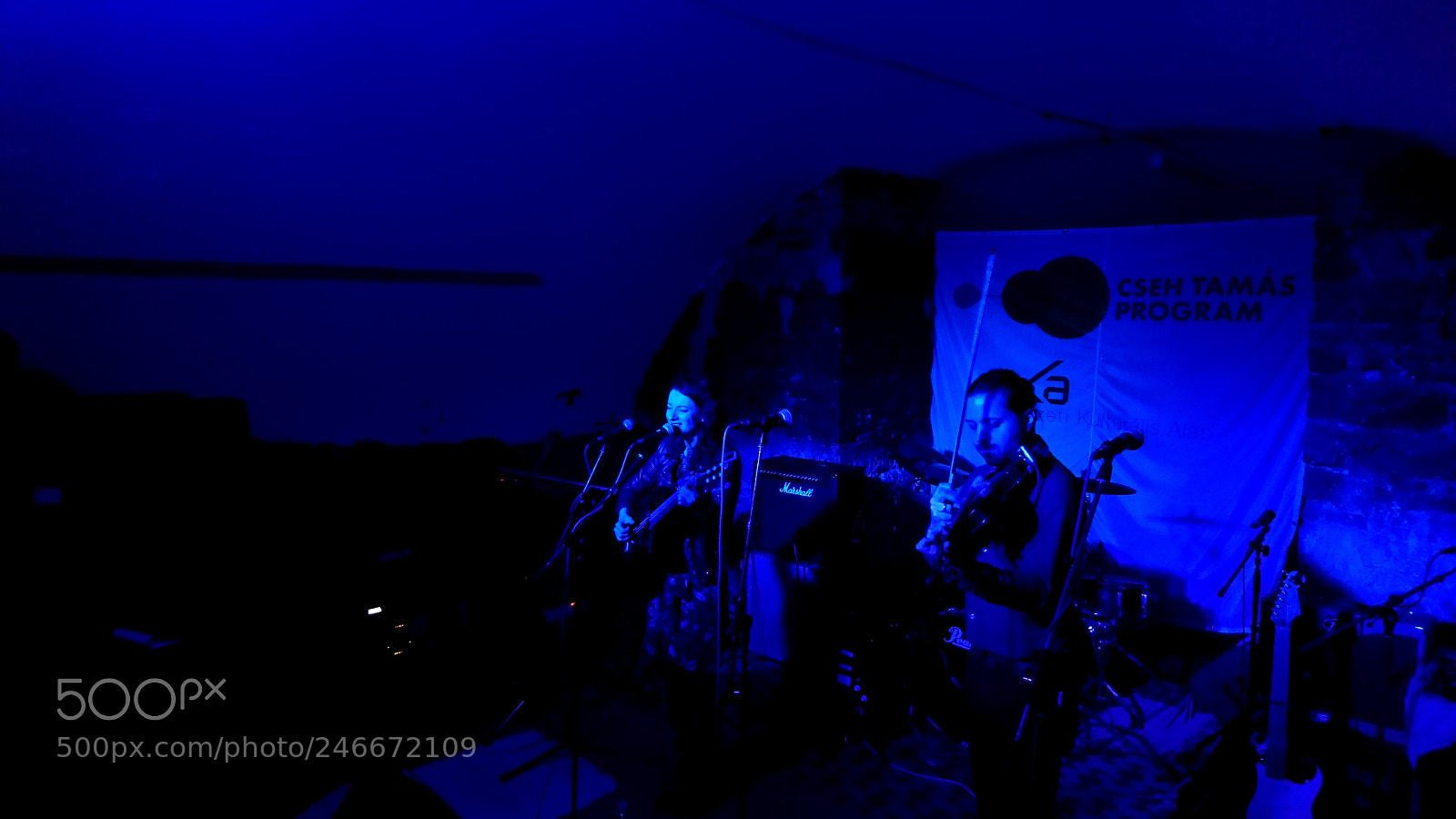 Sony Xperia XZ sample photo. Double concert at s photography