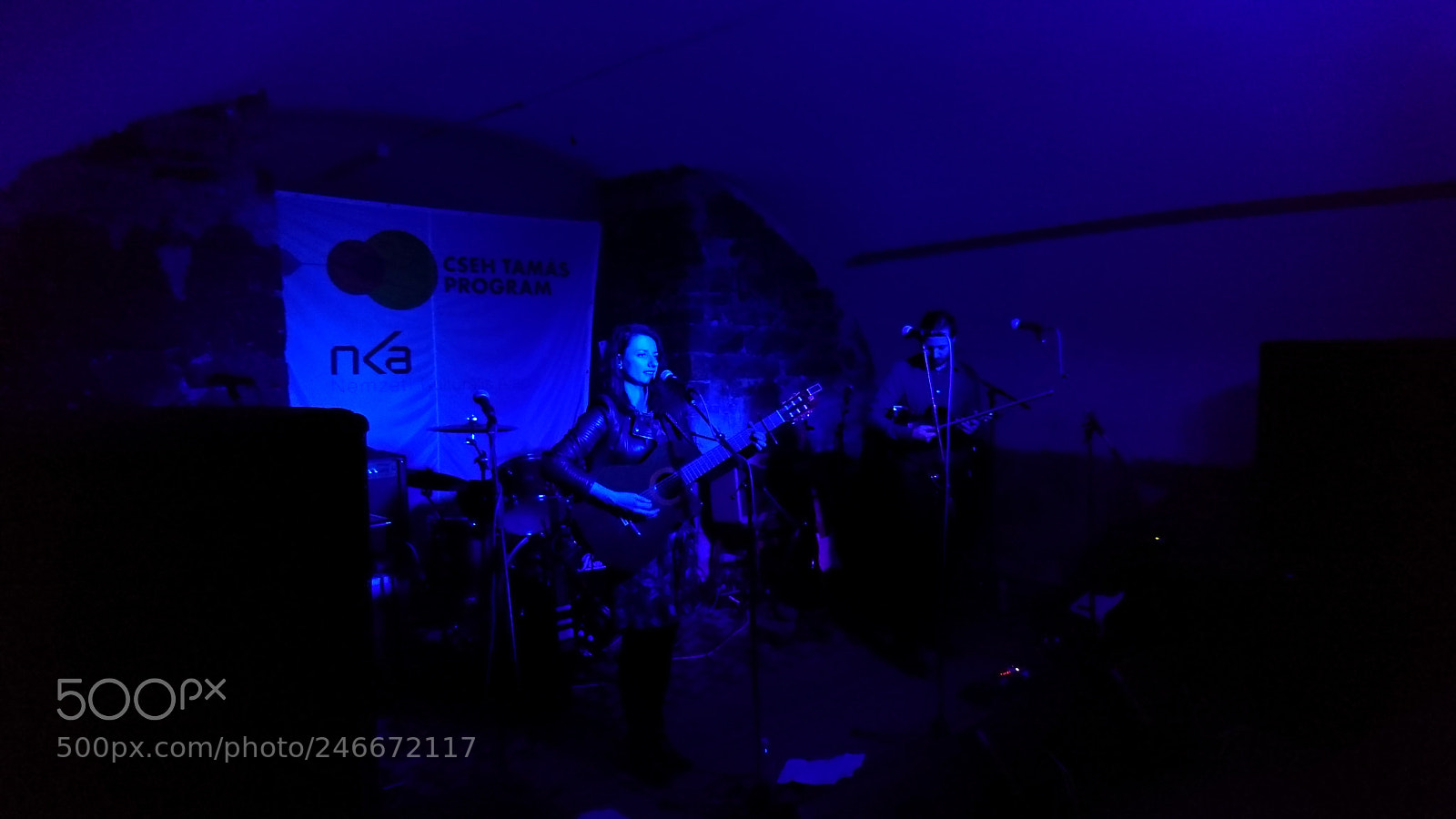 Sony Xperia XZ sample photo. Double concert at s photography