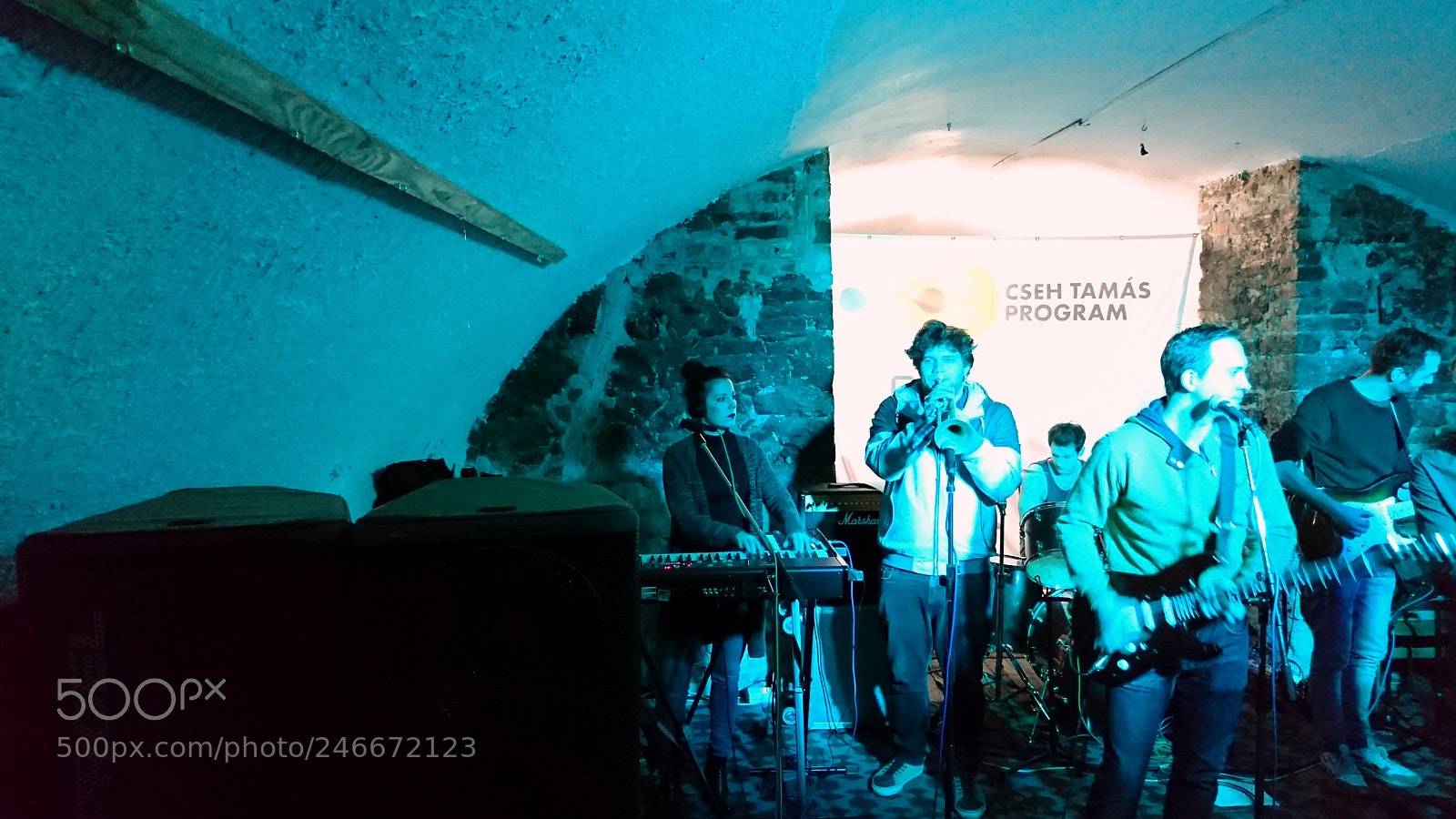 Sony Xperia XZ sample photo. Double concert at s photography