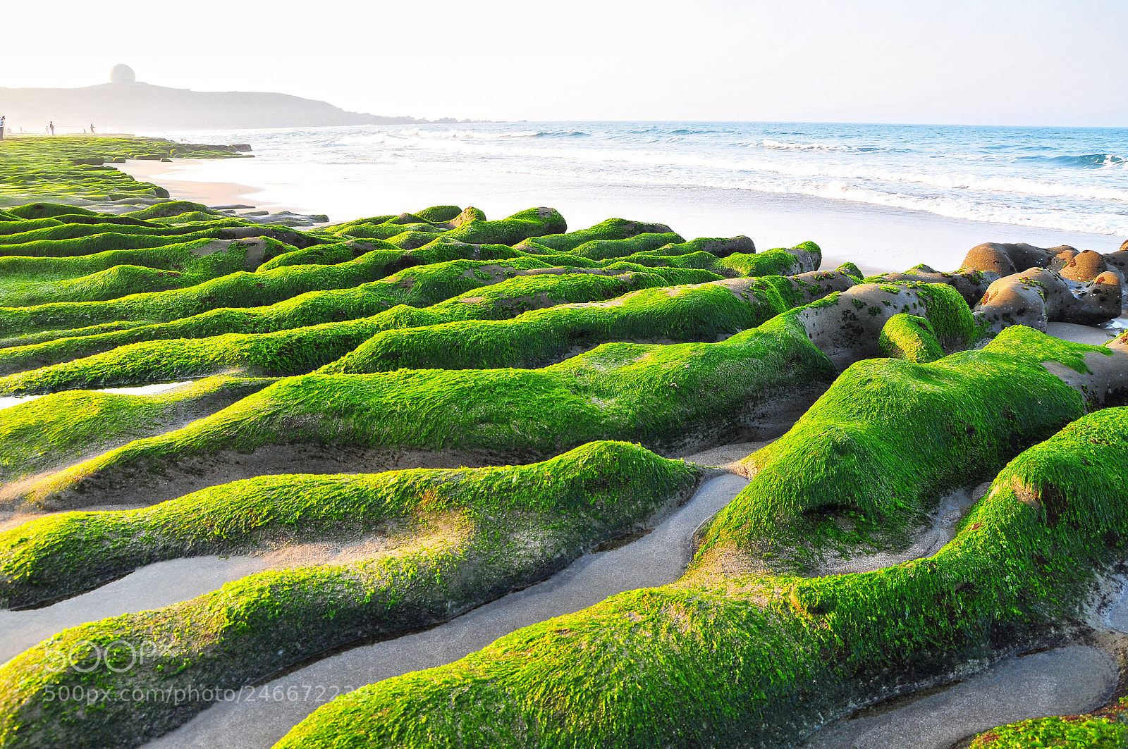 Nikon D300 sample photo. Green reef at laomei photography