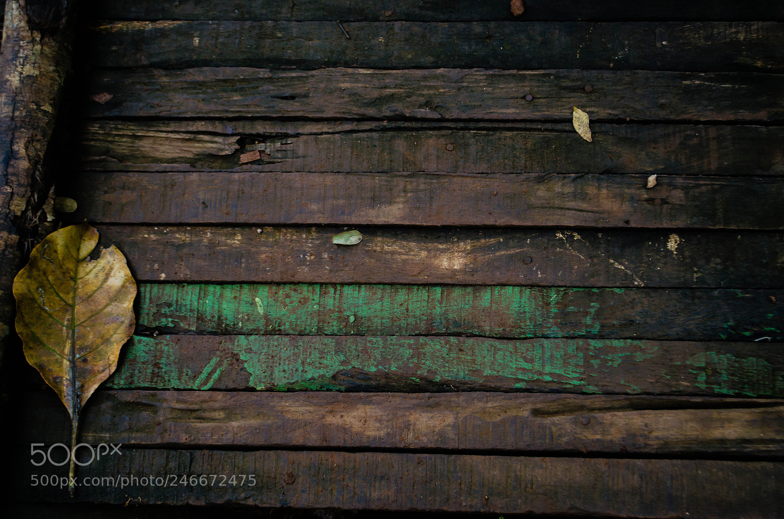 Nikon D5100 sample photo. Patterns photography