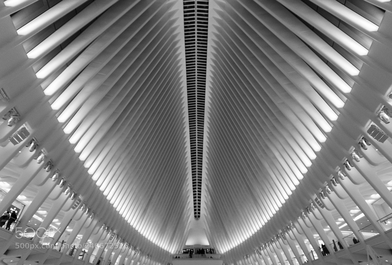 Nikon D90 sample photo. Oculus aglow photography