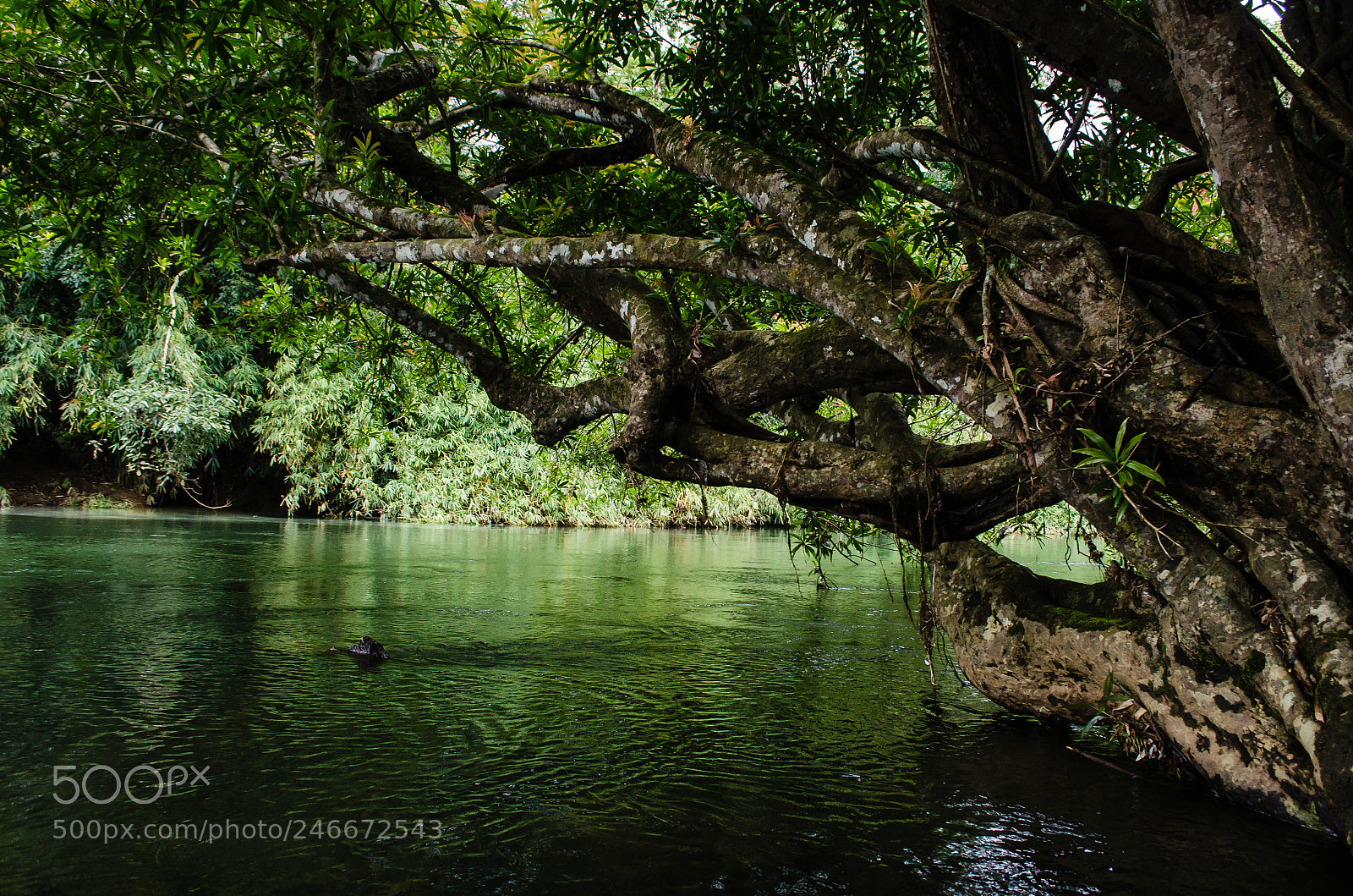 Nikon D5100 sample photo. In touch photography