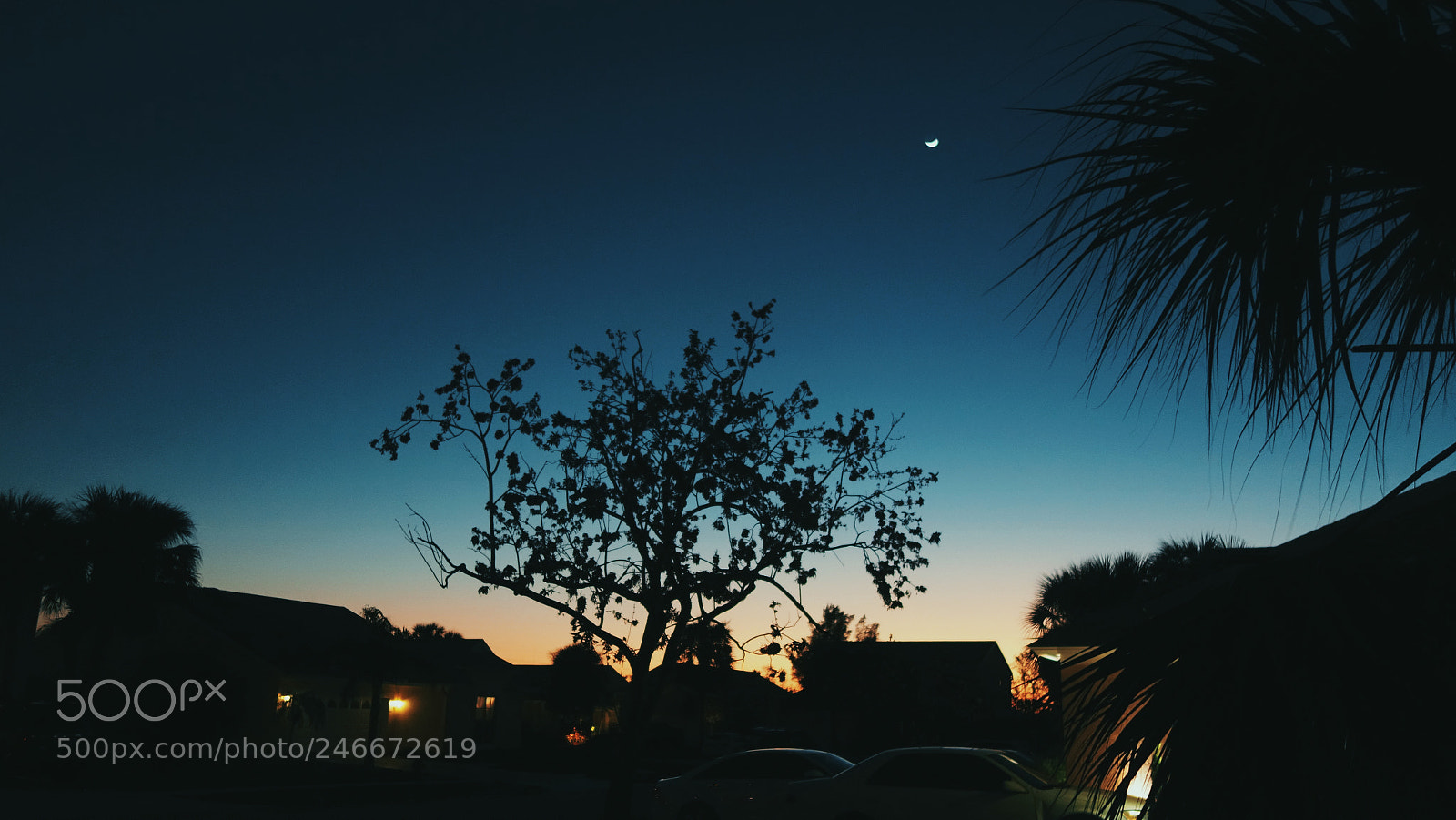 Sony Cyber-shot DSC-RX100 II sample photo. Beautiful night photography