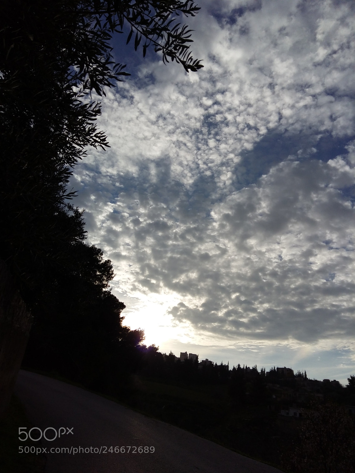 Samsung Galaxy A5 sample photo. Untitled photography