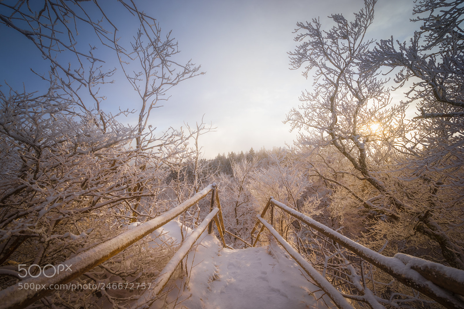Sony a7 II sample photo. Misty dawn photography