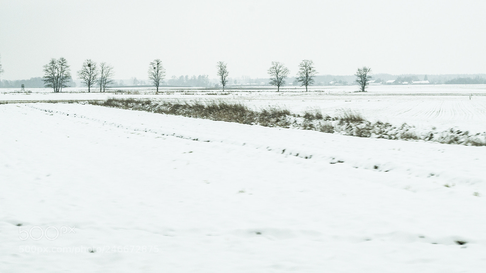 Pentax K-S2 sample photo. Winter photography