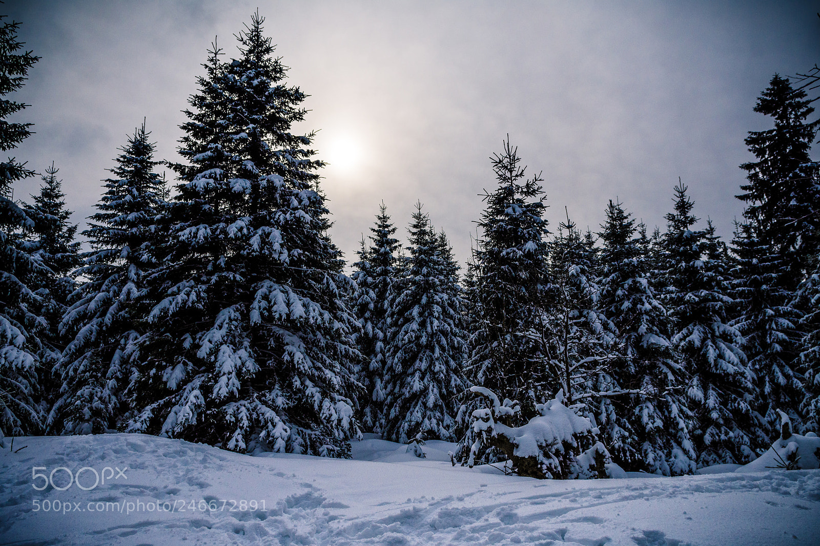 Nikon D7200 sample photo. Harz im winter photography