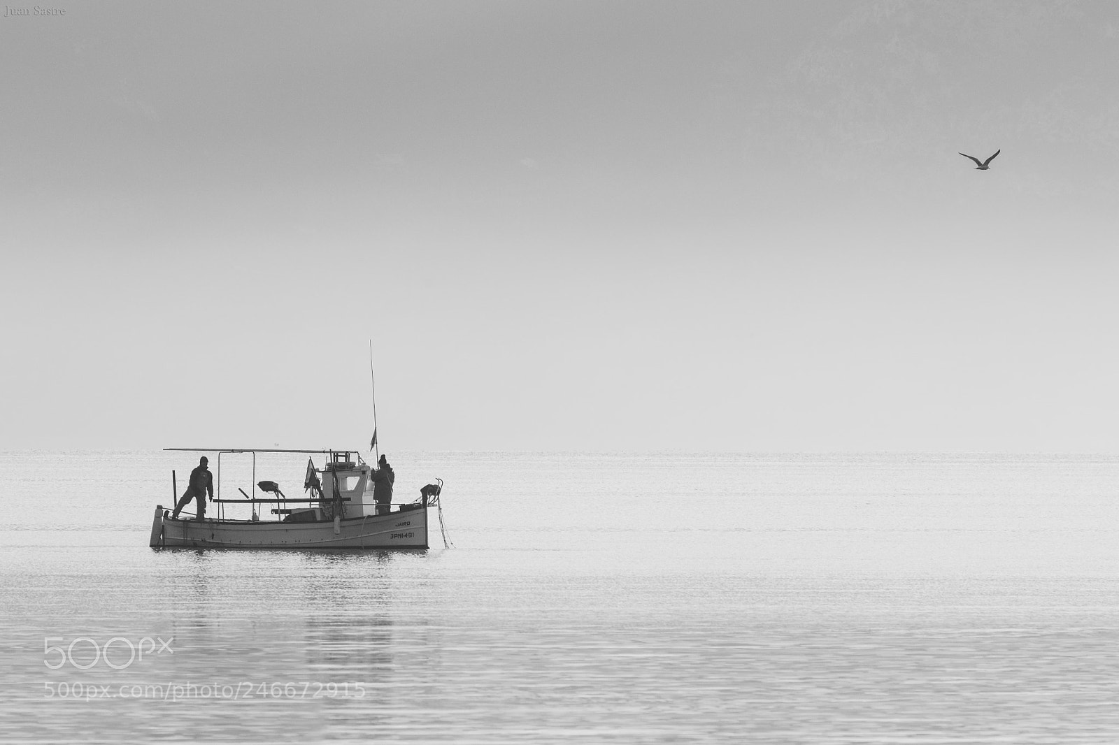 Canon EOS 5DS R sample photo. El hombre la gaviota photography