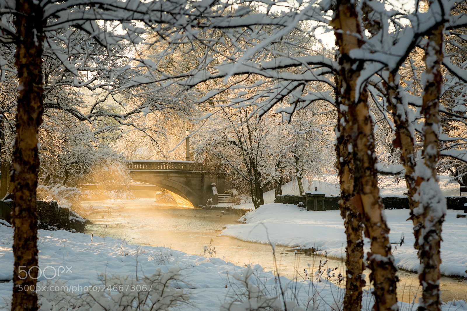 Sony a7R II sample photo. Winter morning photography