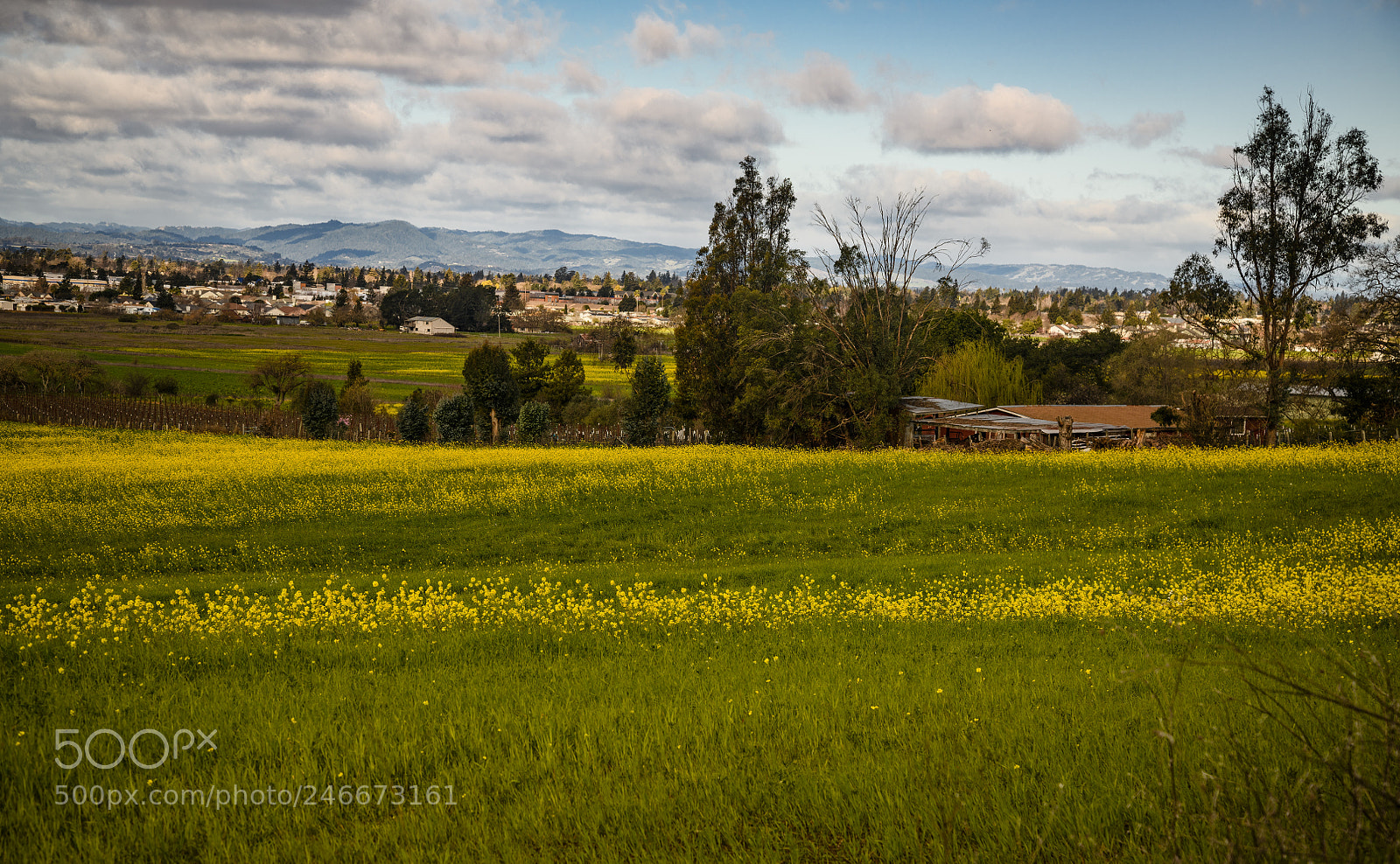Nikon D850 sample photo. Little home hidden in photography