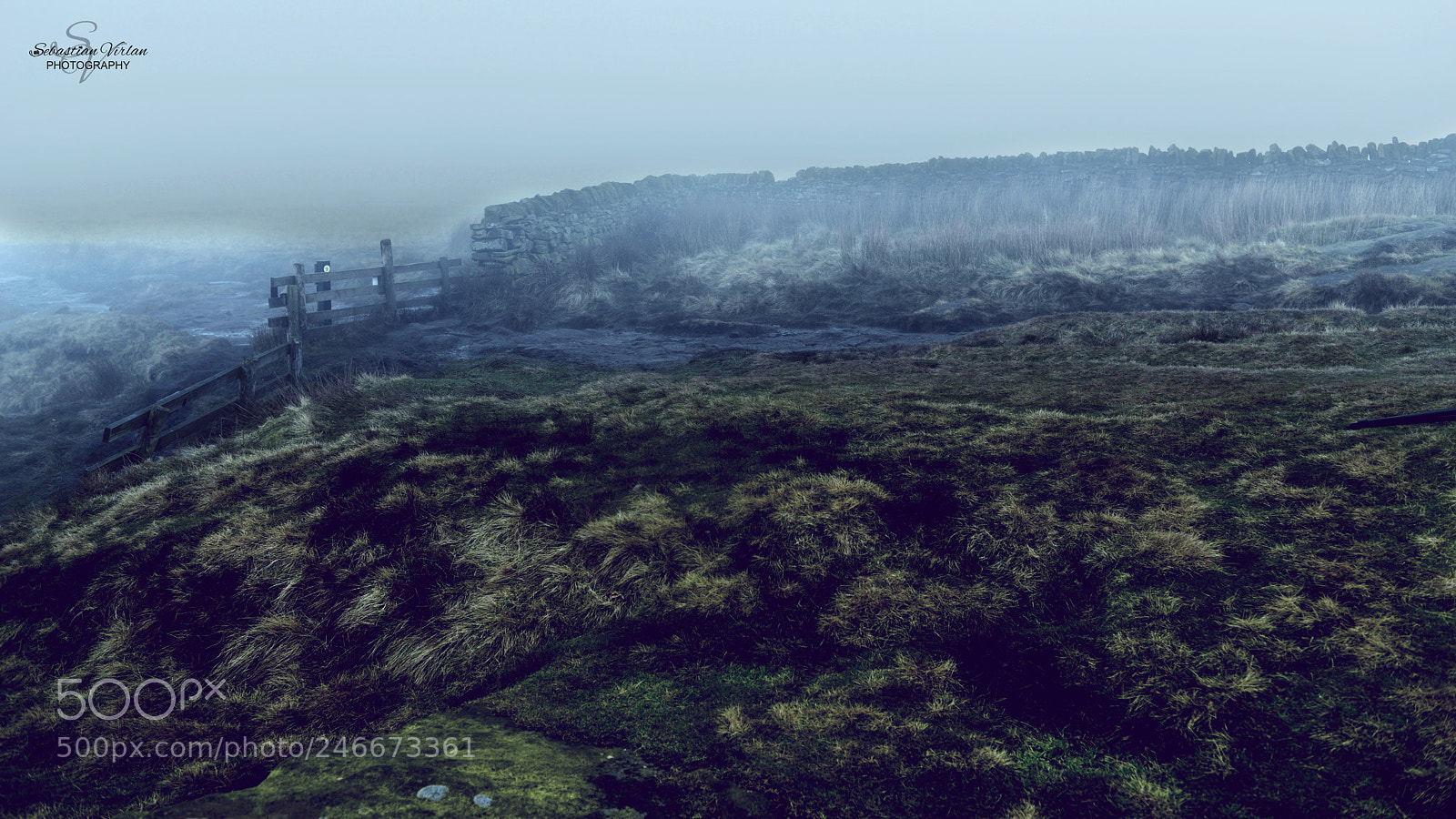 Nikon D800 sample photo. Before vikings fight photography